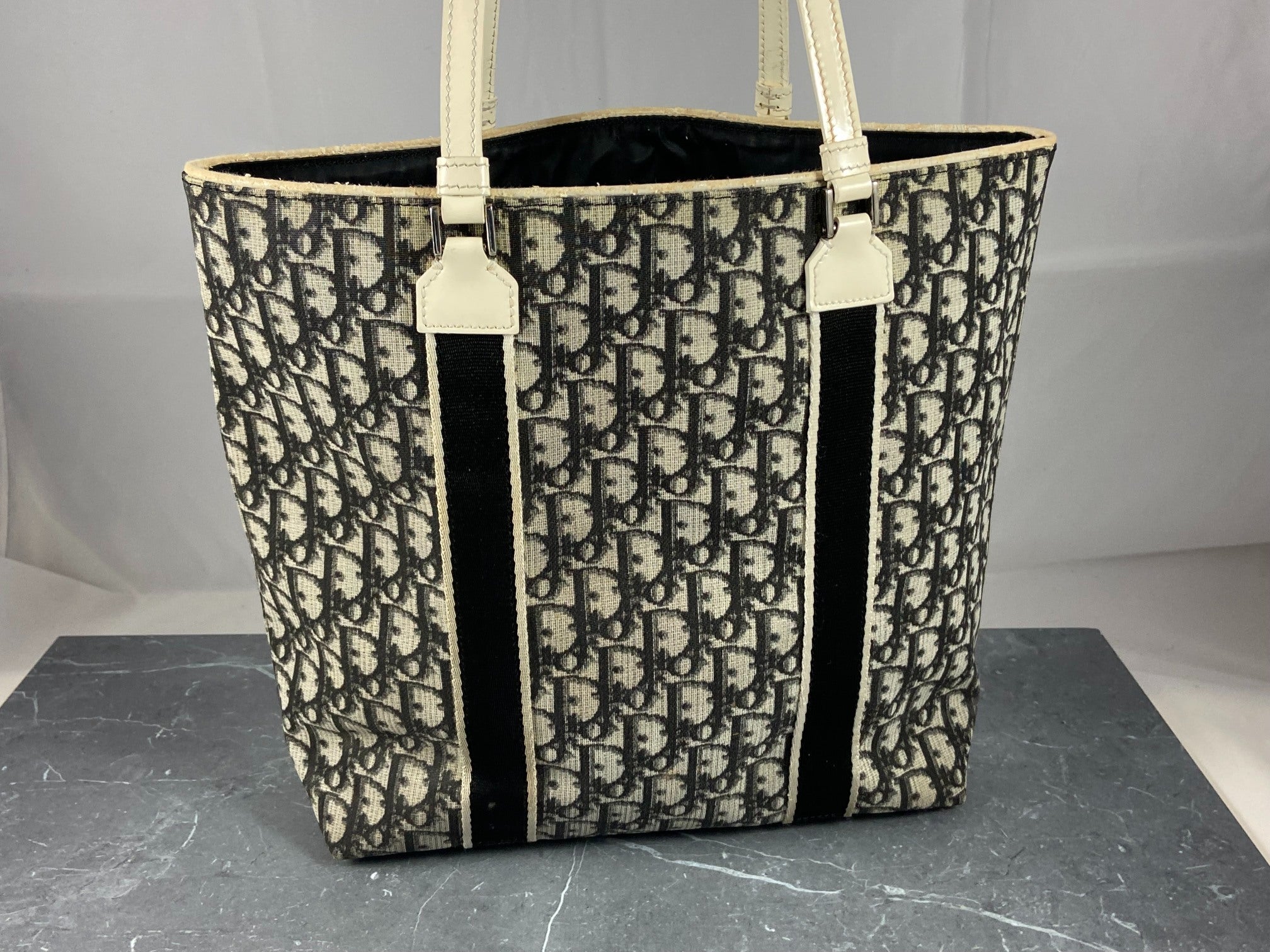 Christian Dior Hand / Shoulder Bag Black Trotter Monogram