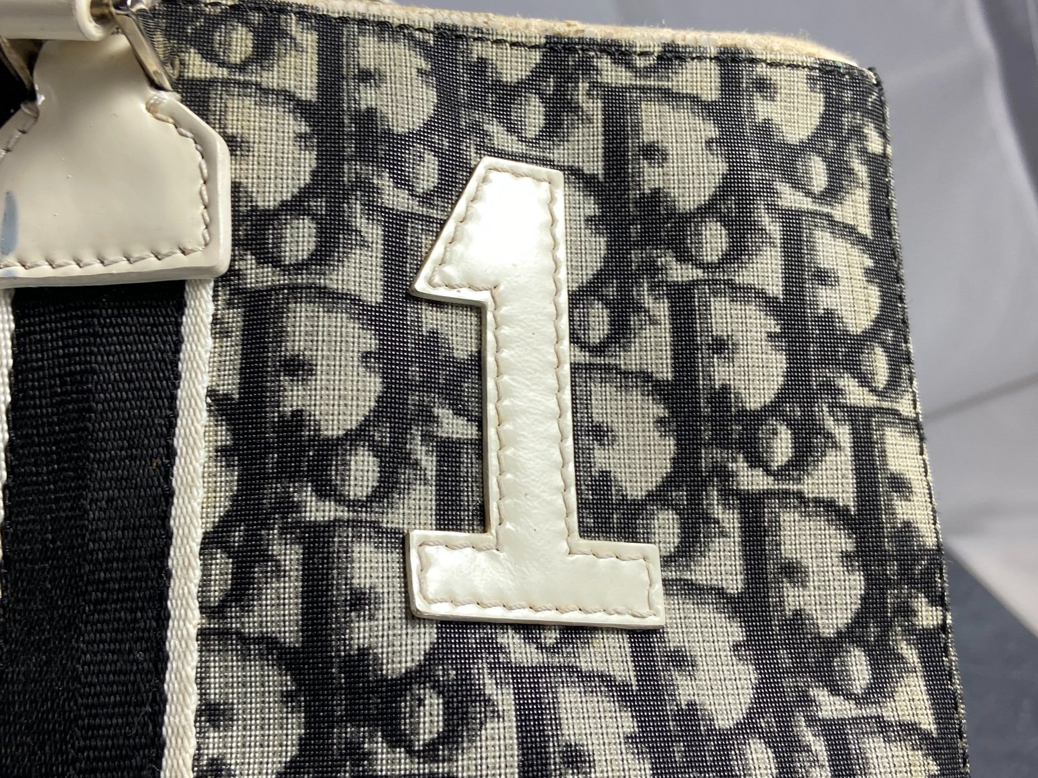 Christian Dior Hand / Shoulder Bag Black Trotter Monogram