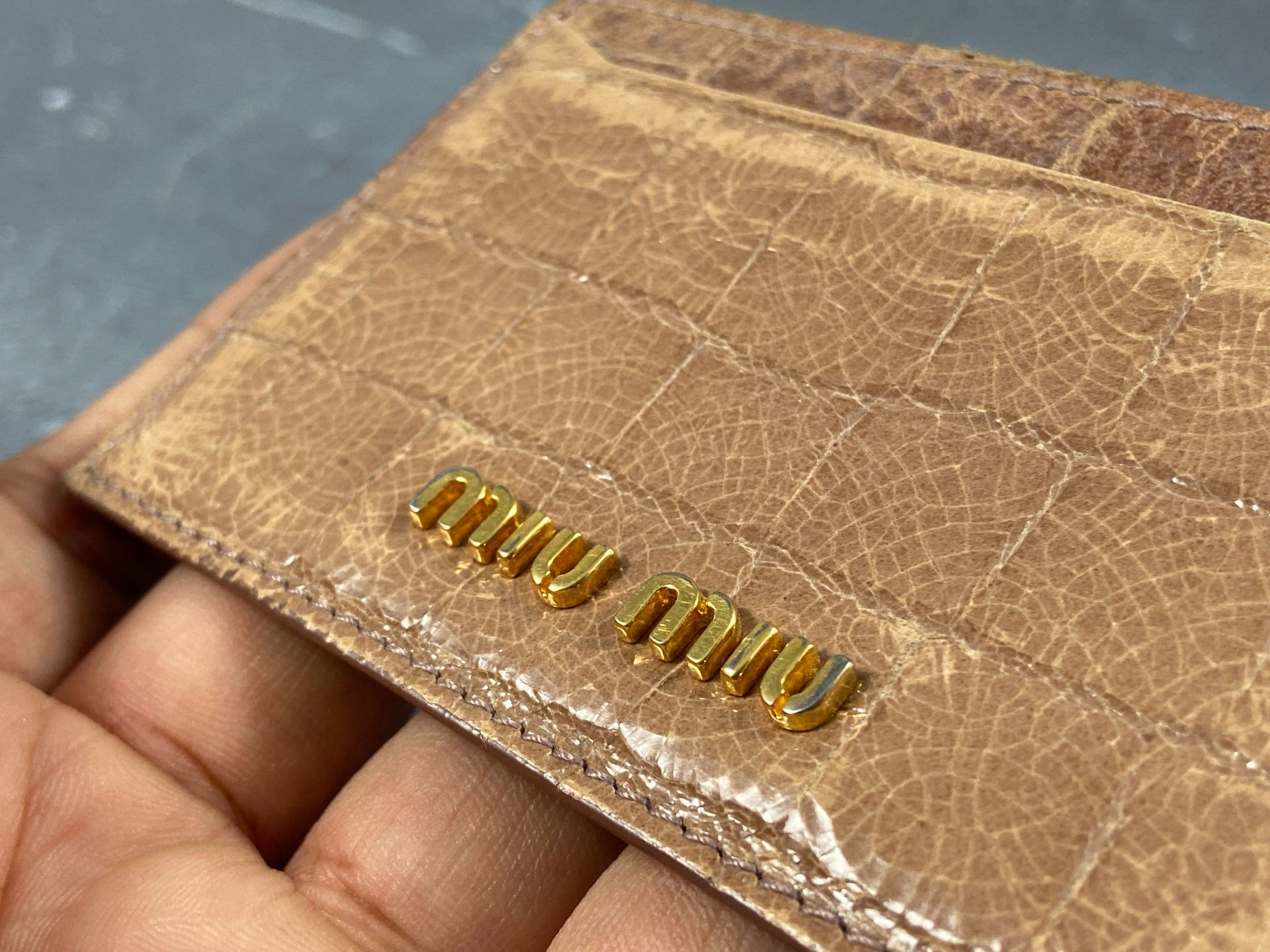 Miu Miu Cardholder Beige Crocodile Pattern