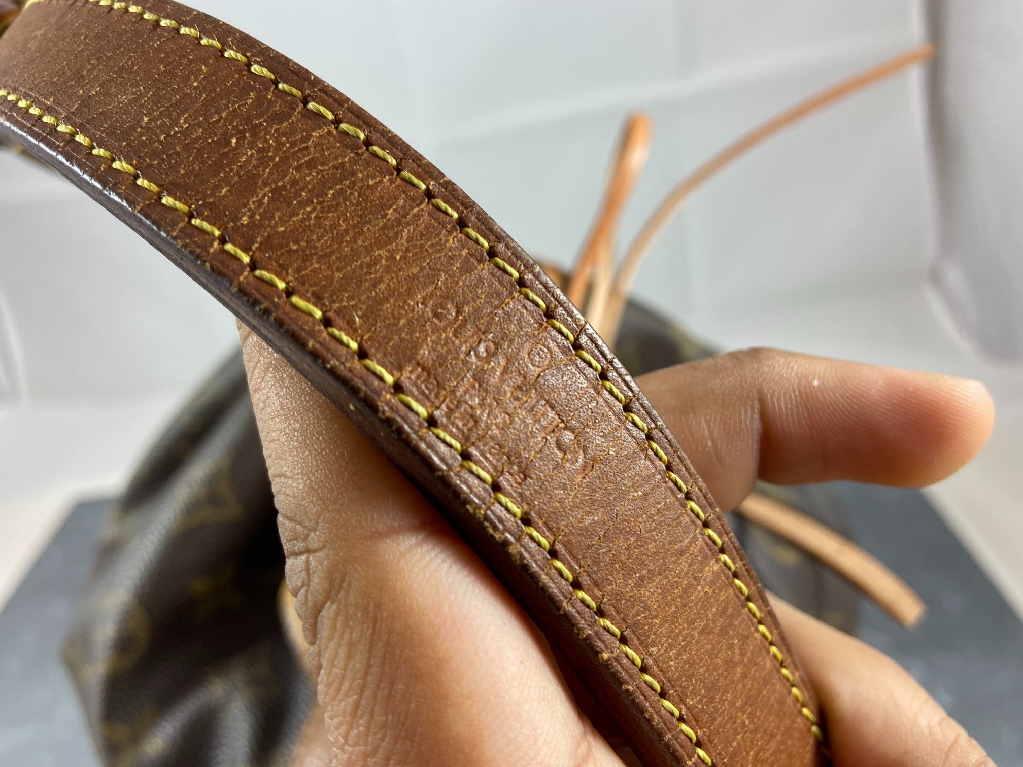 Louis Vuitton Sac Noé Petit Monogram Canvas