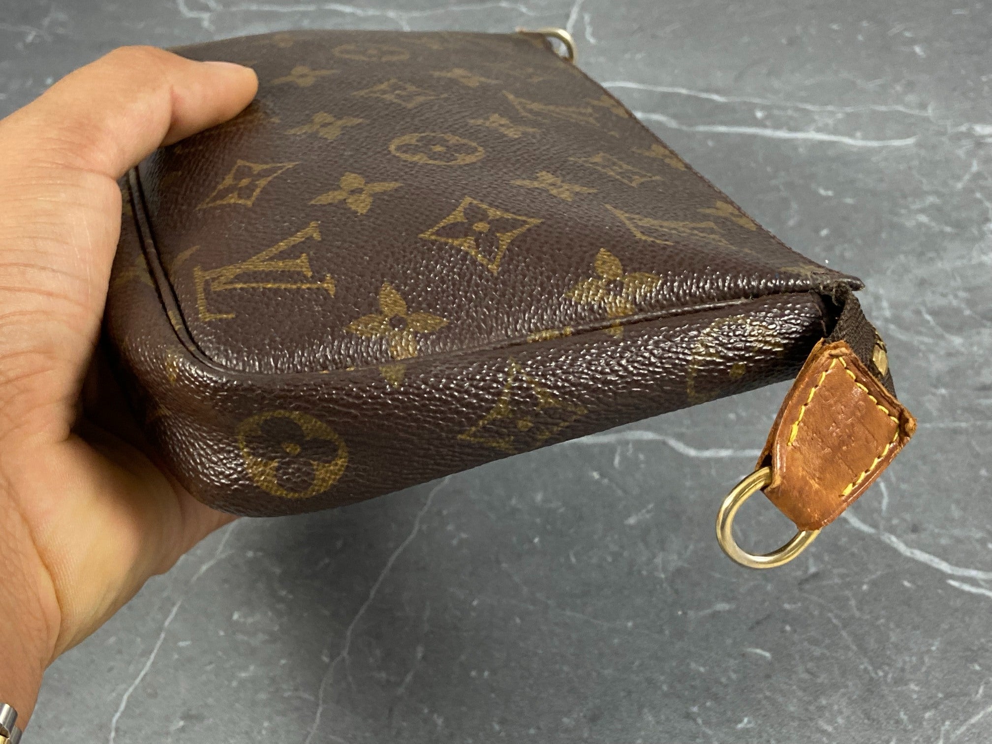 Louis Vuitton Pochette Accessoires Monogram Canvas