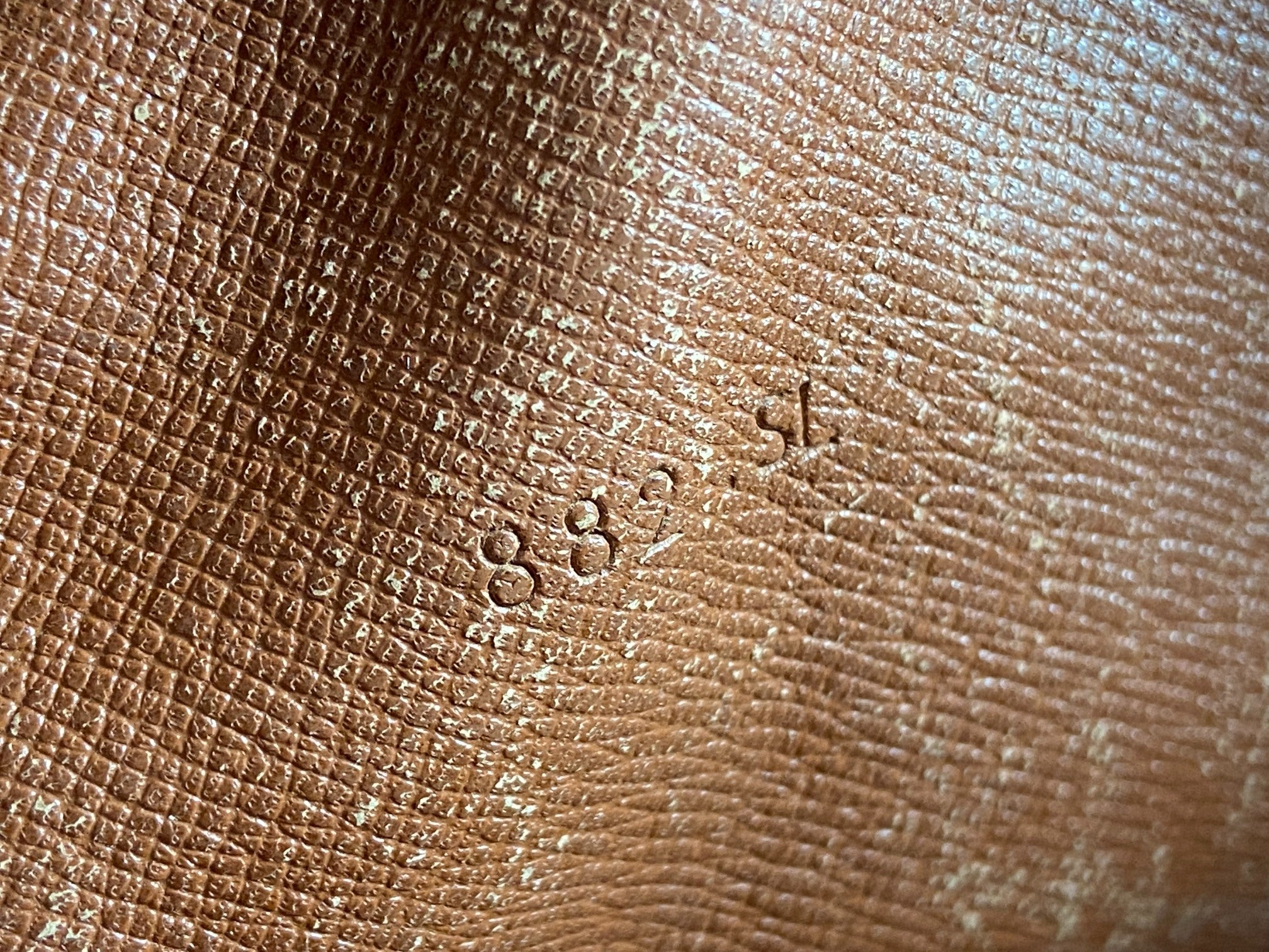 Louis Vuitton Danube PM Monogram Canvas