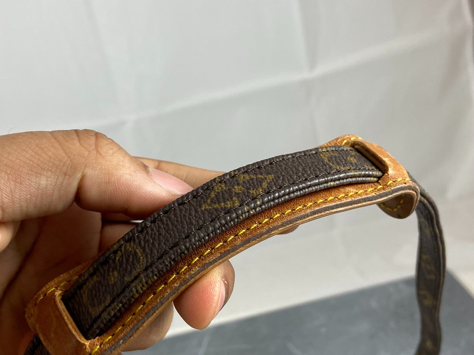 Louis Vuitton Danube PM Monogram Canvas