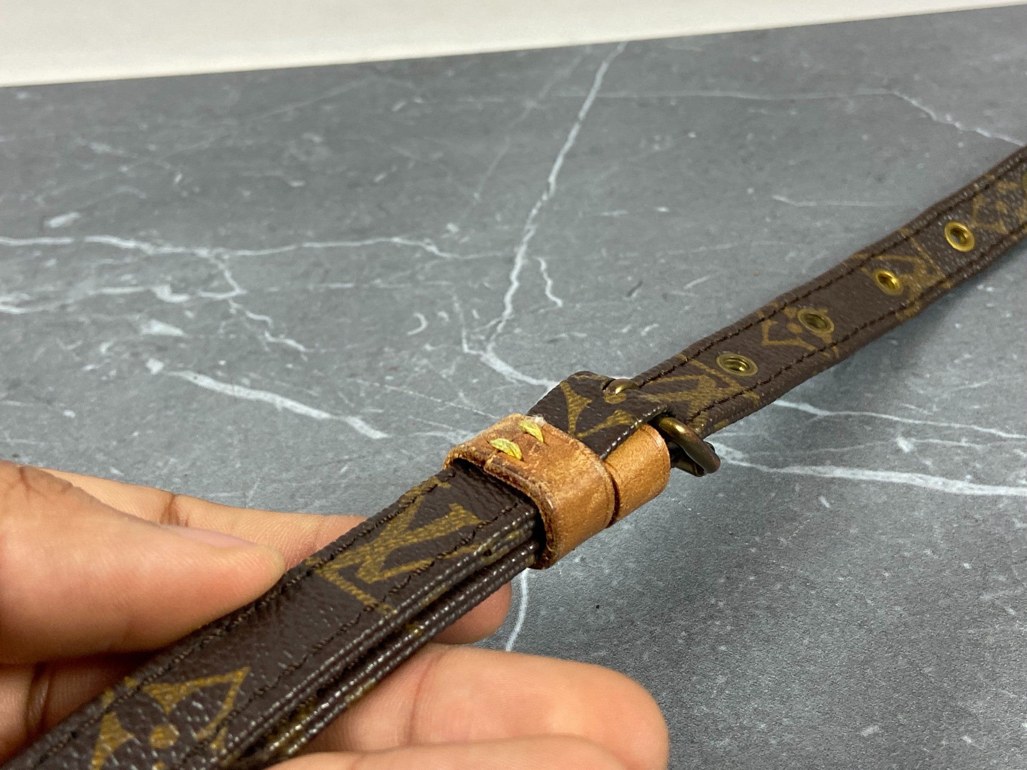 Louis Vuitton Danube PM Monogram Canvas