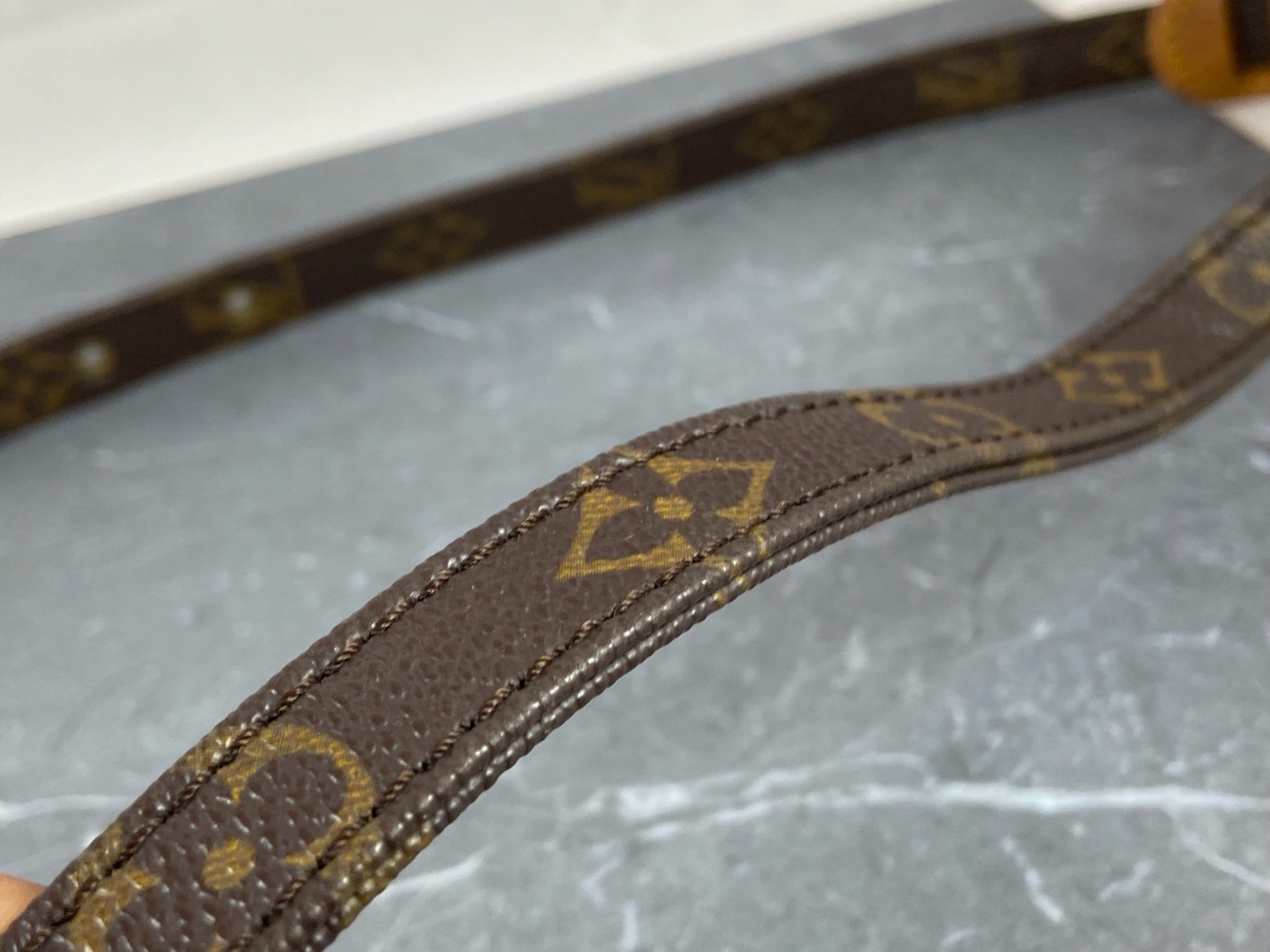 Louis Vuitton Danube PM Monogram Canvas