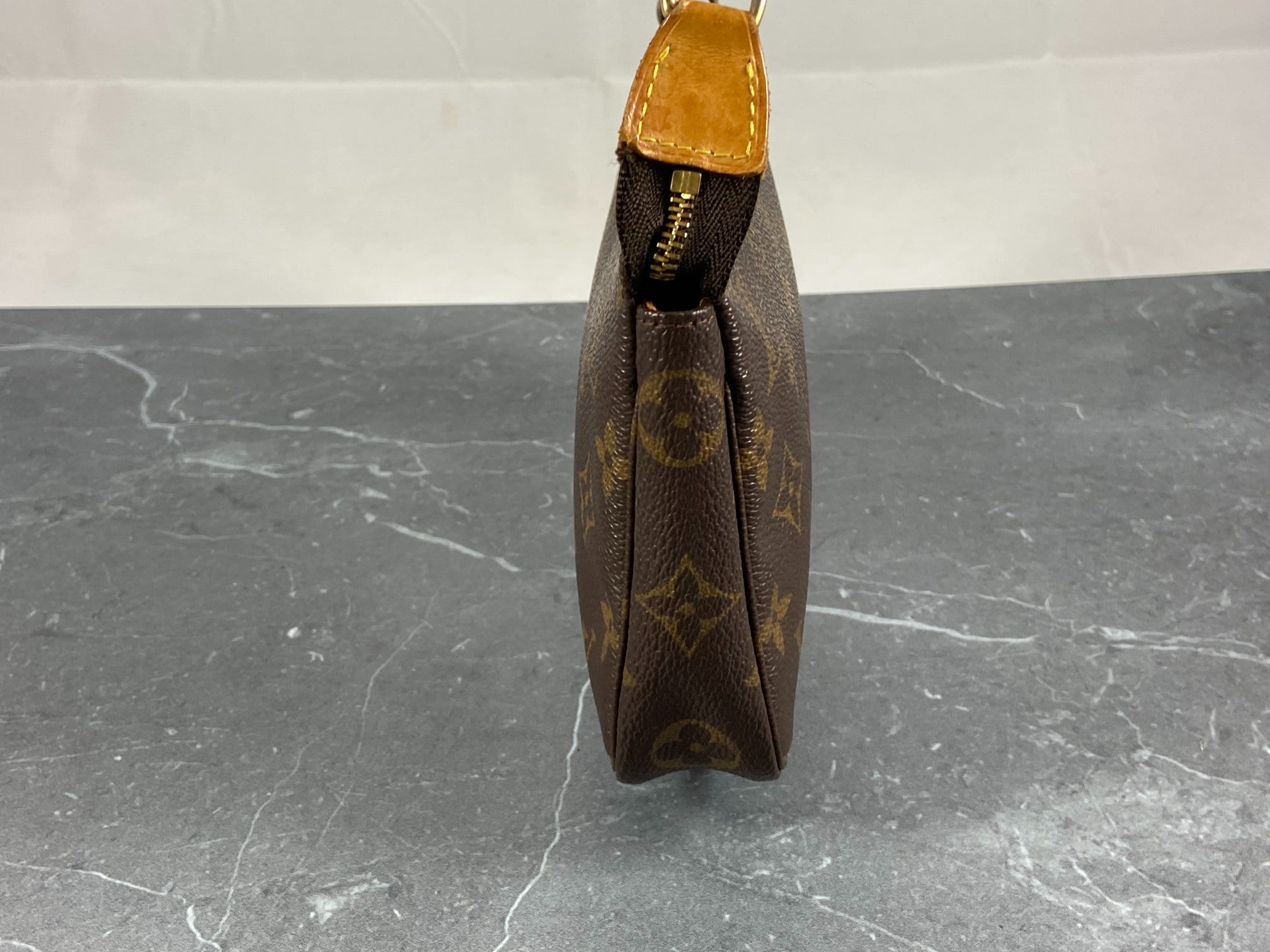 Louis Vuitton Pochette Accessoires Monogram Canvas