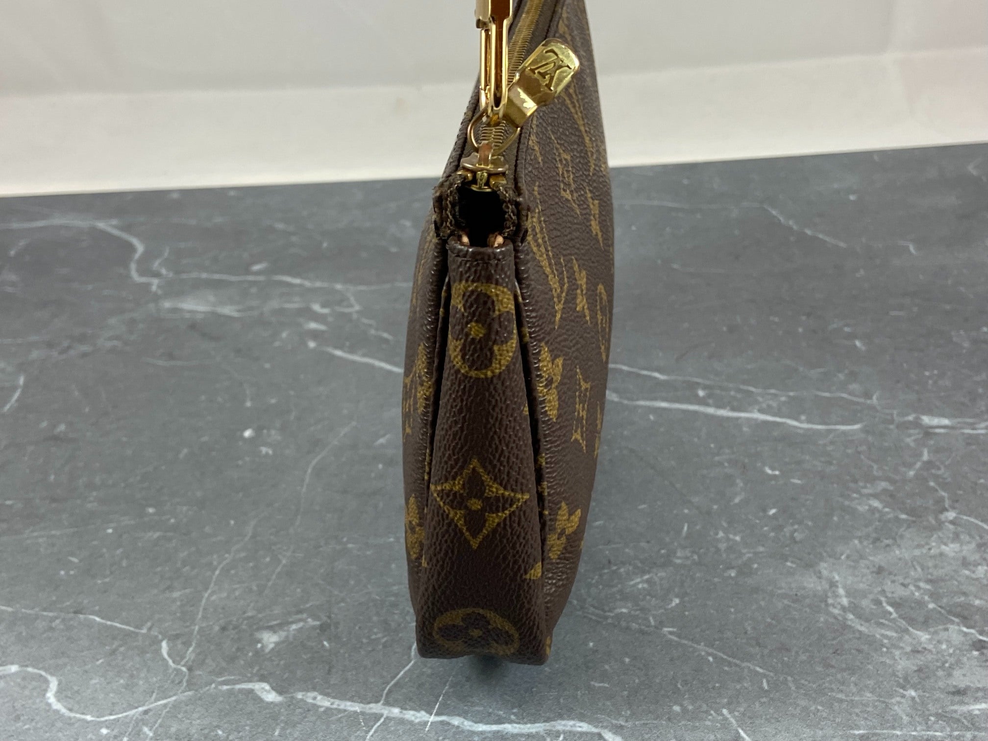 Louis Vuitton Pochette Accessoires Monogram Canvas