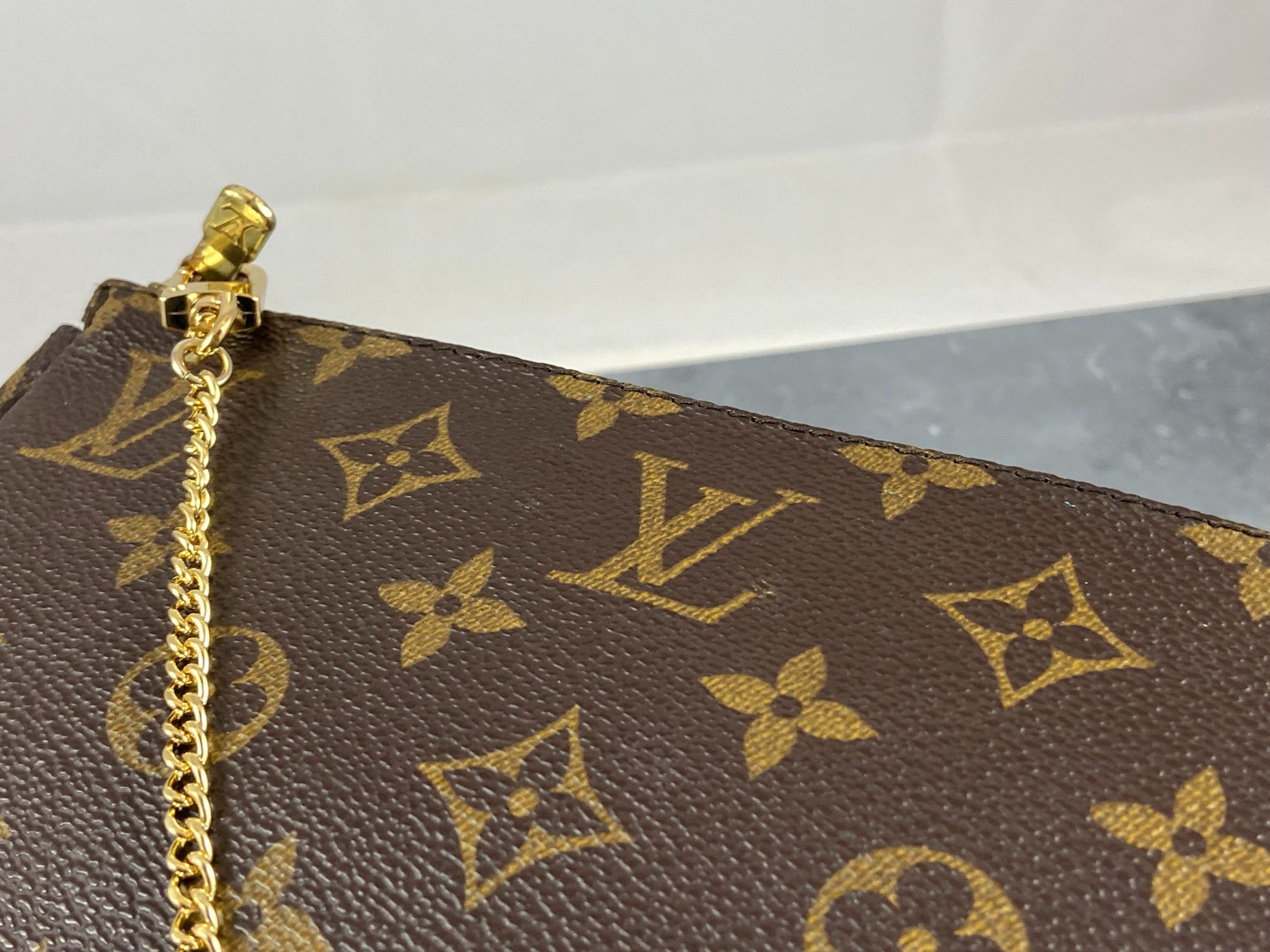 Louis Vuitton Pochette Accessoires Monogram Canvas