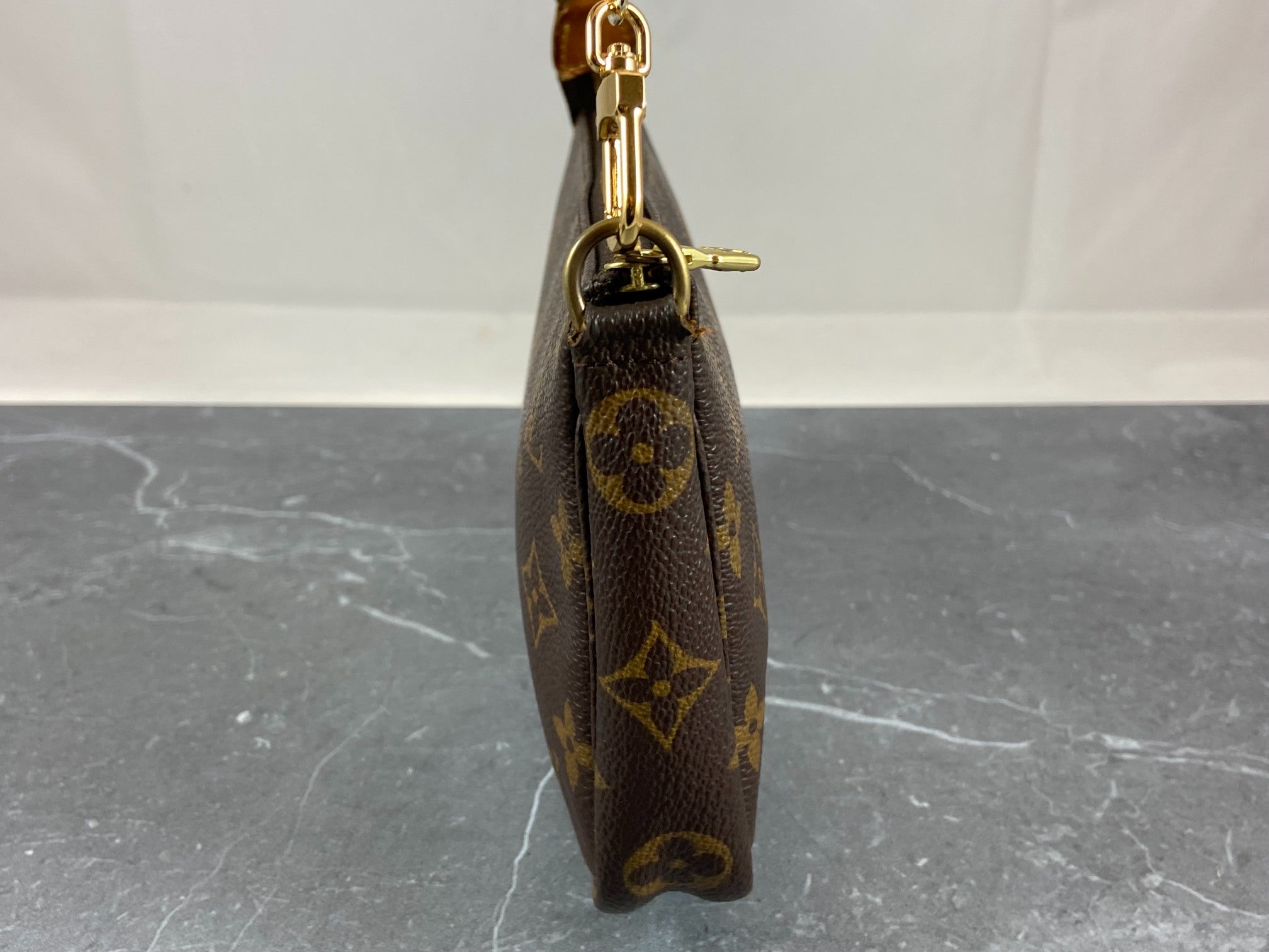 Louis Vuitton Pochette Accessoires Monogram Canvas