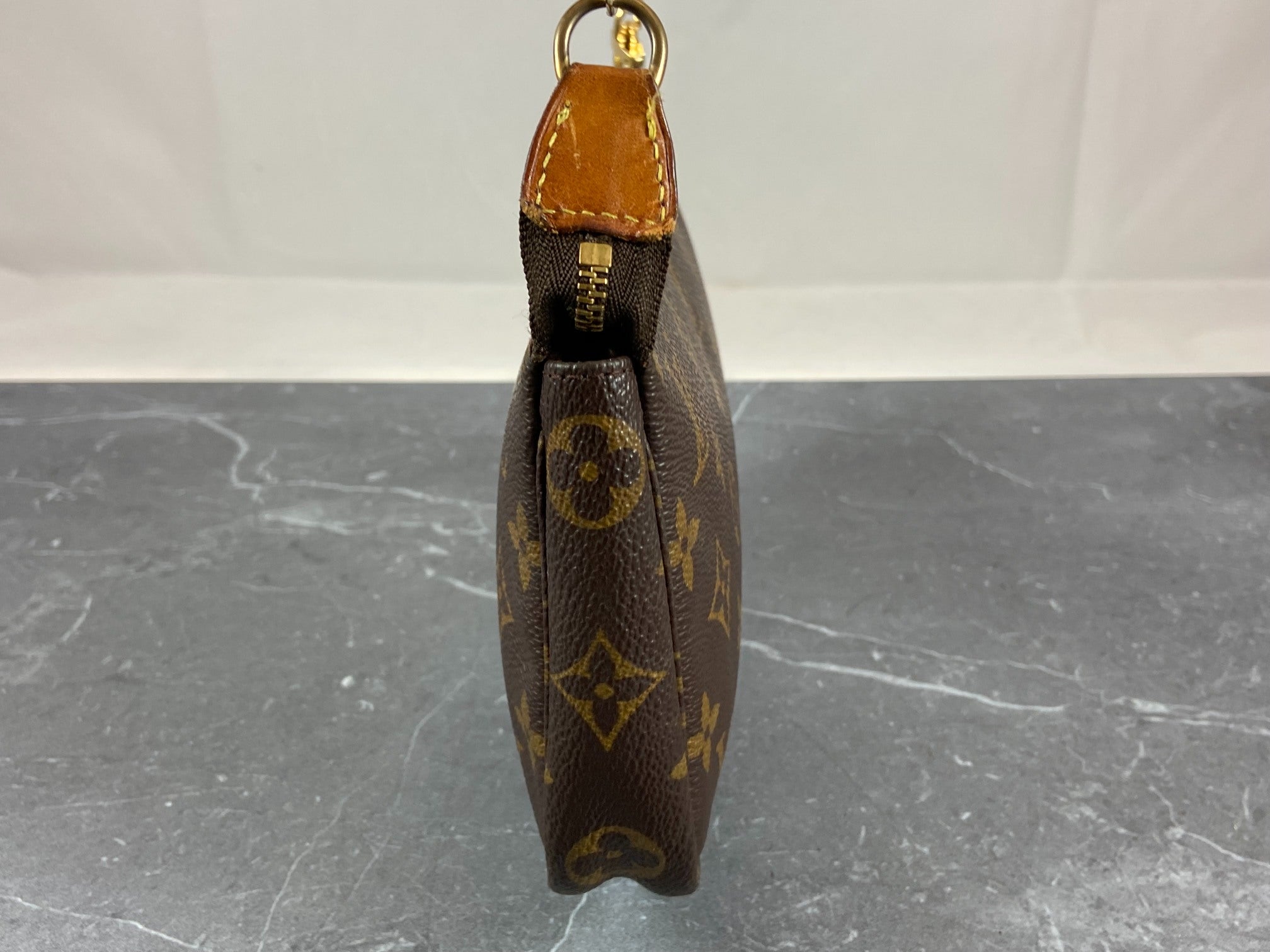 Louis Vuitton Pochette Accessoires Monogram Canvas