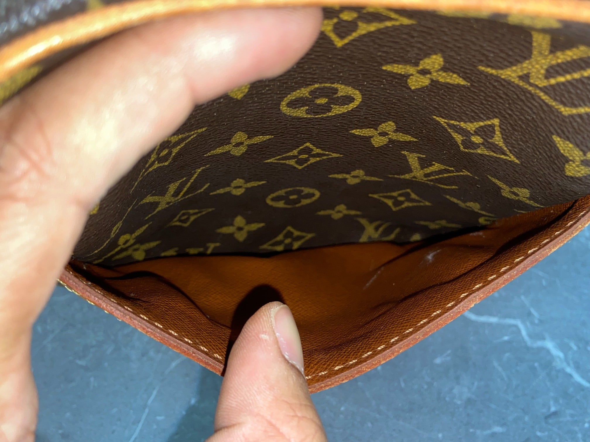 Louis Vuitton Danube PM Monogram Canvas