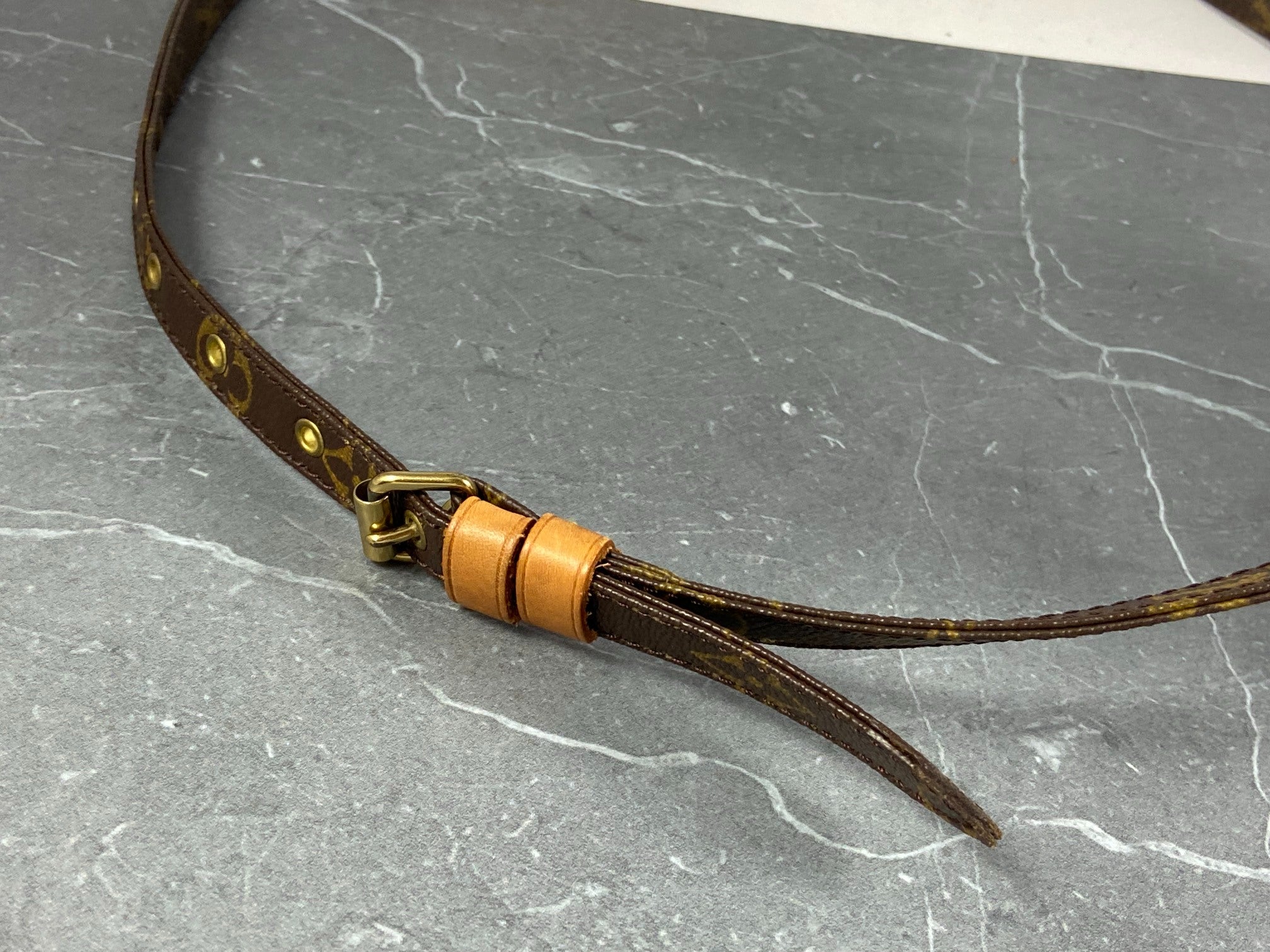 Louis Vuitton Danube PM Monogram Canvas