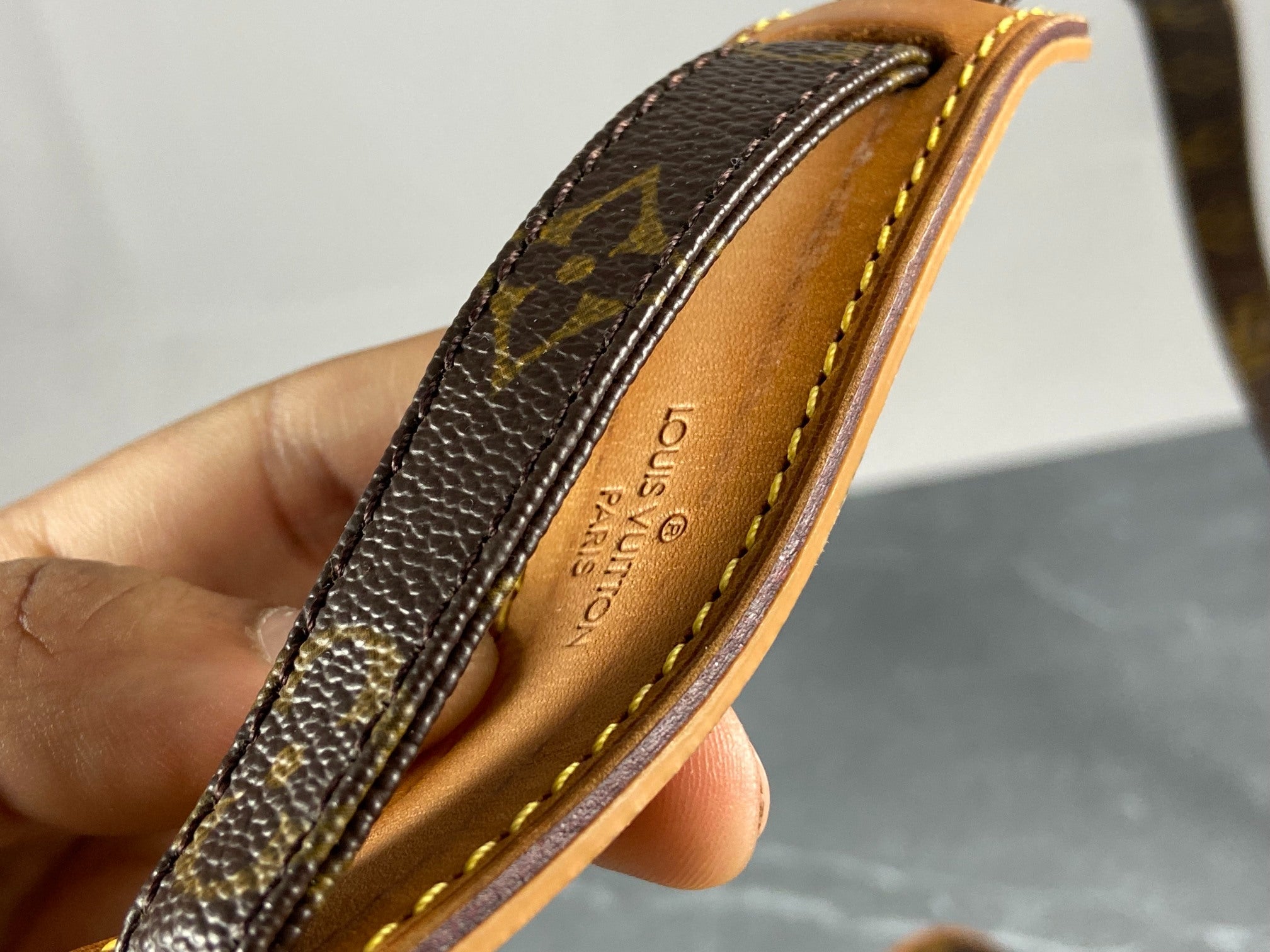 Louis Vuitton Danube PM Monogram Canvas