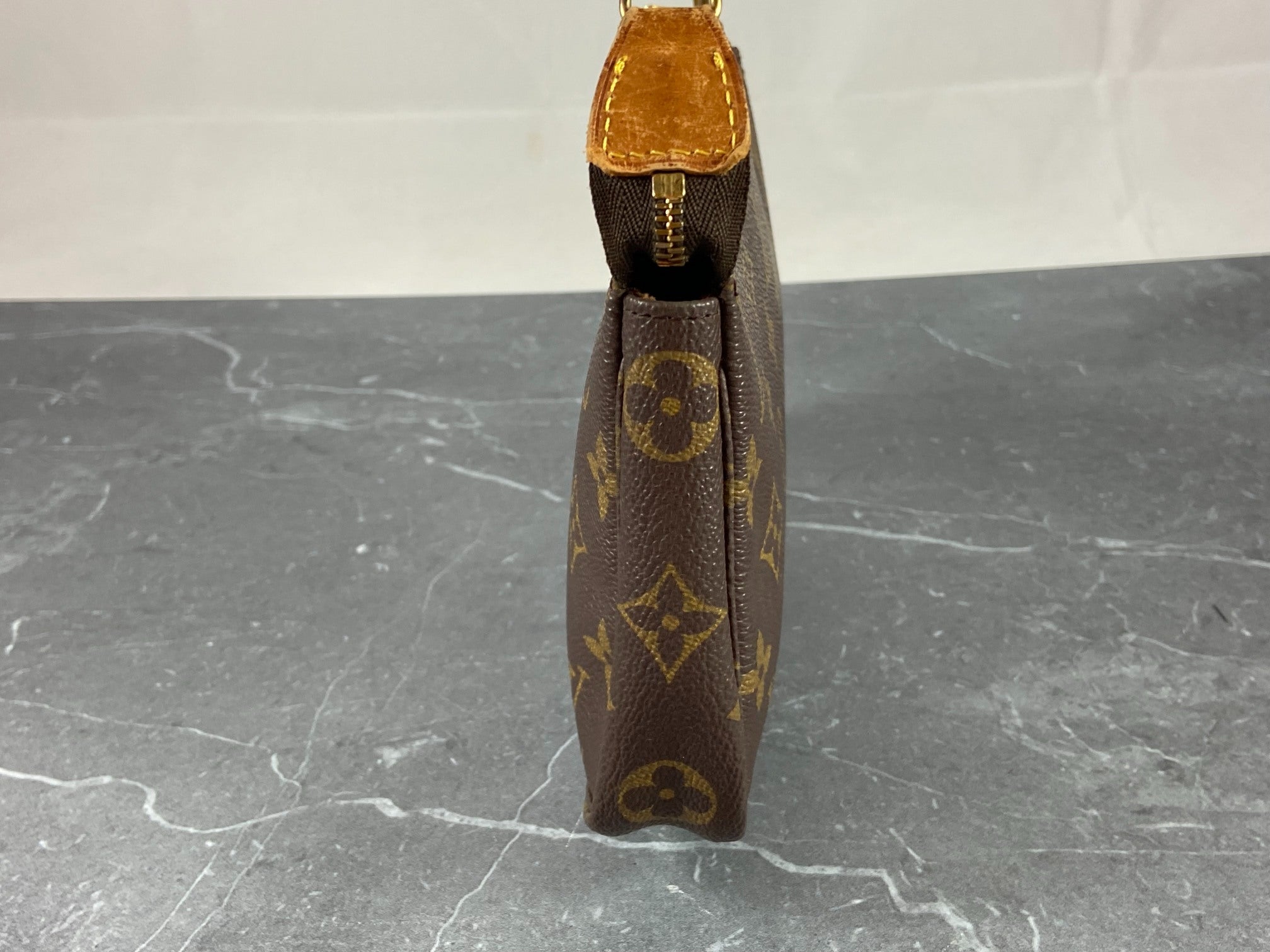 Louis Vuitton Pochette Accessoires Monogram Canvas