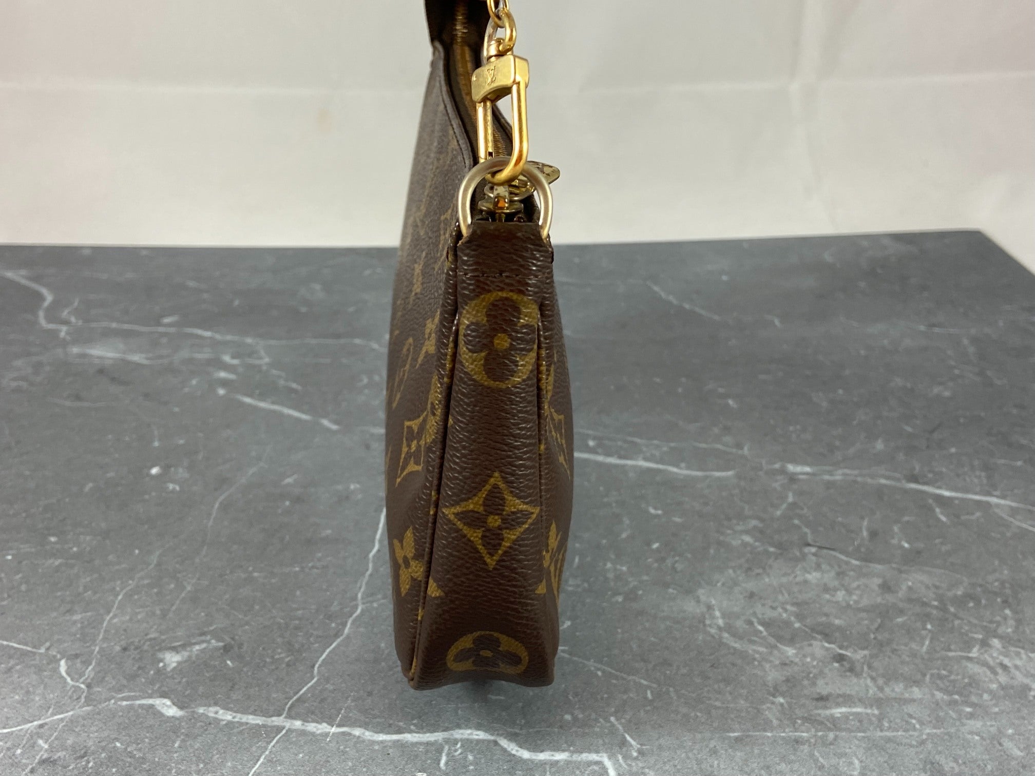 Louis Vuitton Pochette Accessoires Monogram Canvas