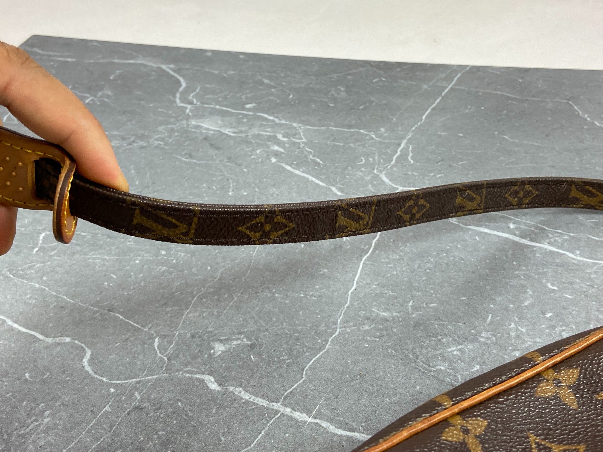 Louis Vuitton Danube PM Monogram Canvas