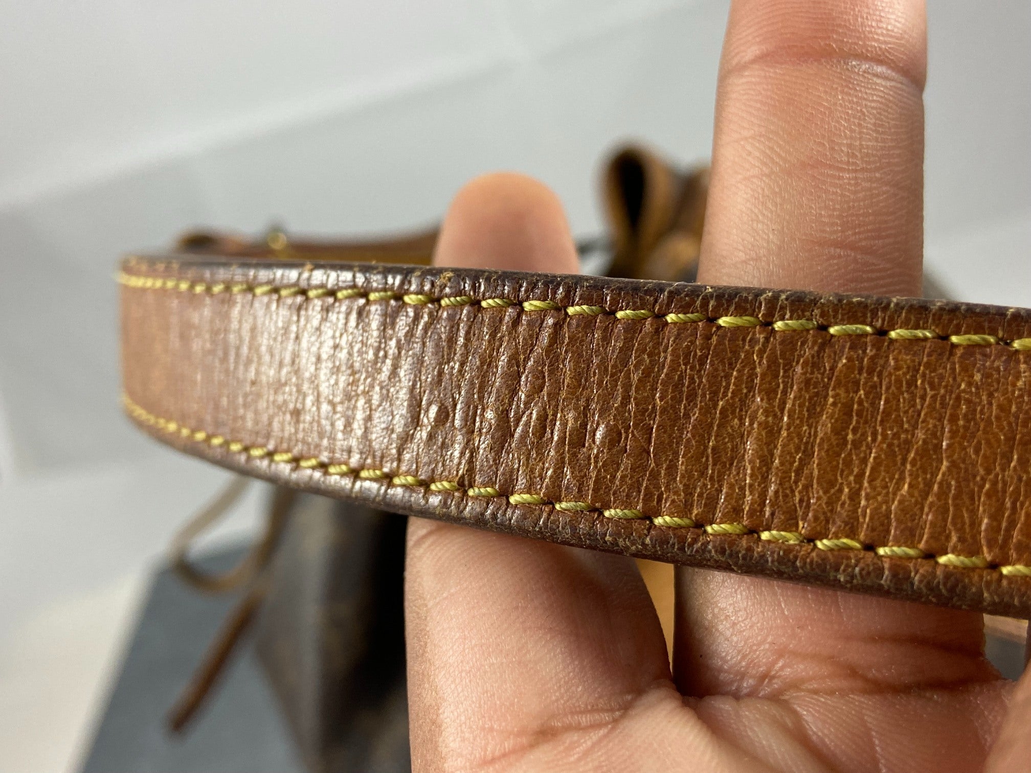 Louis Vuitton Sac Noé Petit Monogram Canvas