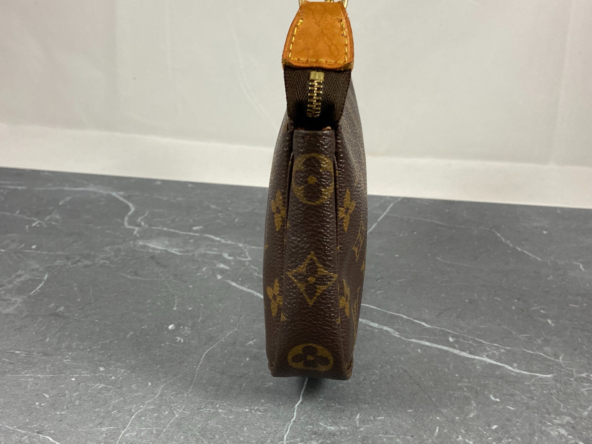 Louis Vuitton Pochette Accessoires Monogram Canvas