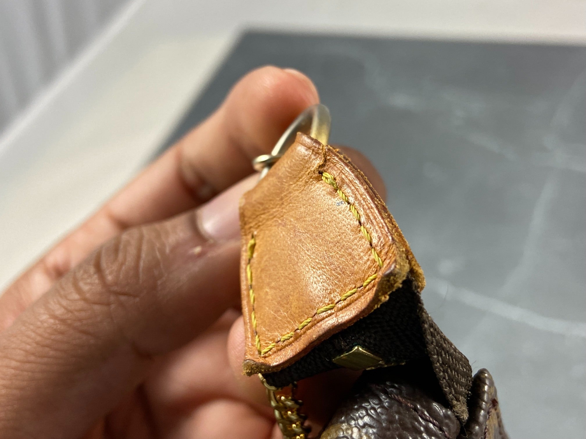 Louis Vuitton Pochette Accessoires Monogram Canvas