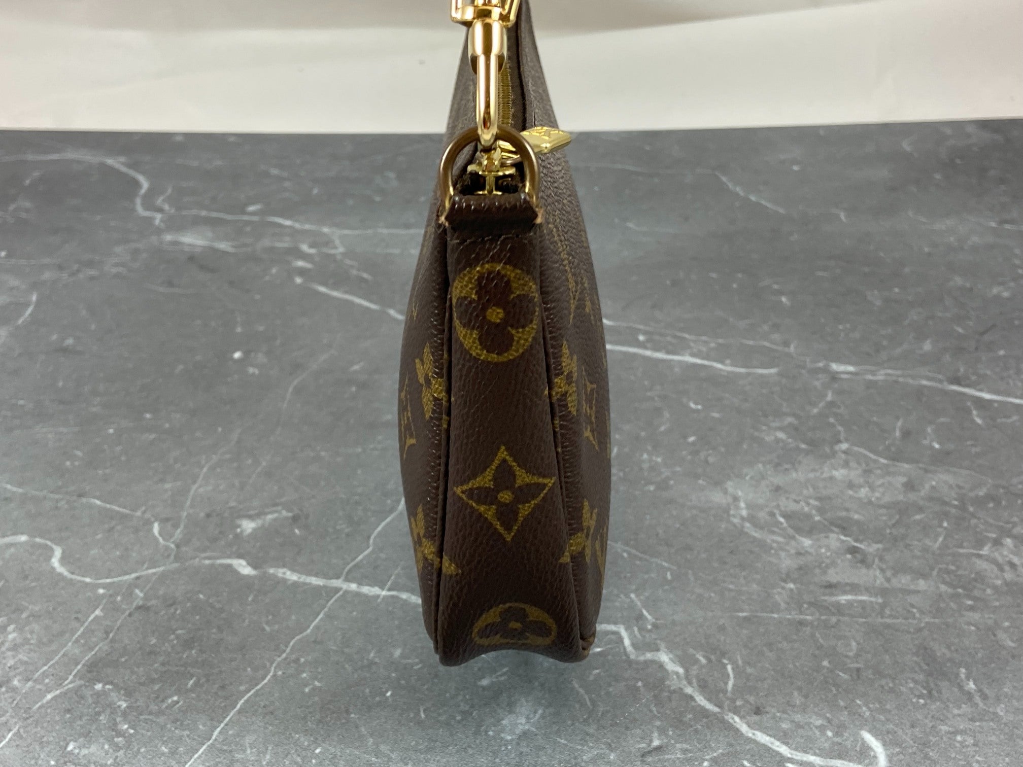 Louis Vuitton Pochette Accessoires Monogram Canvas