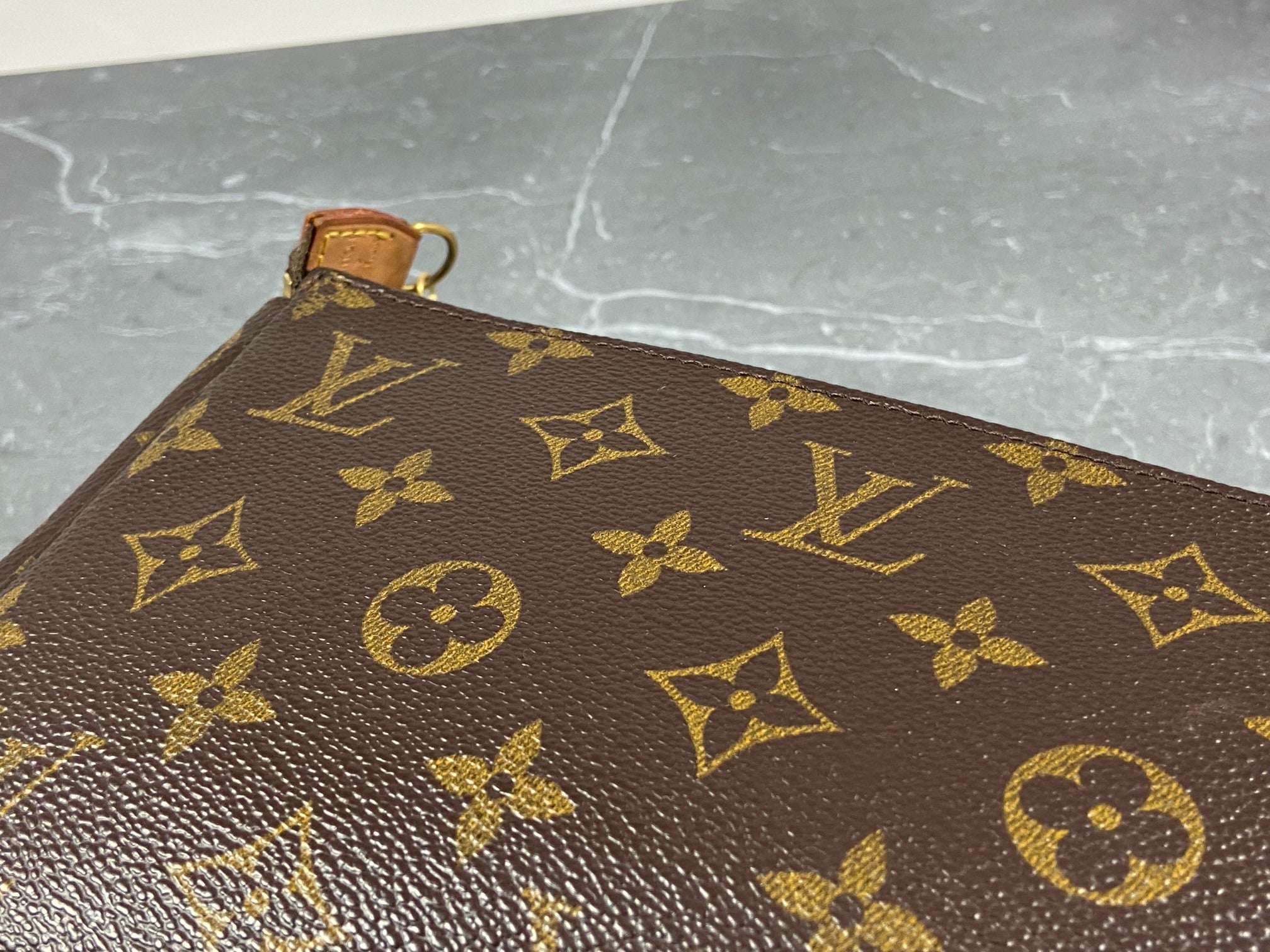 Louis Vuitton Pochette Accessoires Monogram Canvas