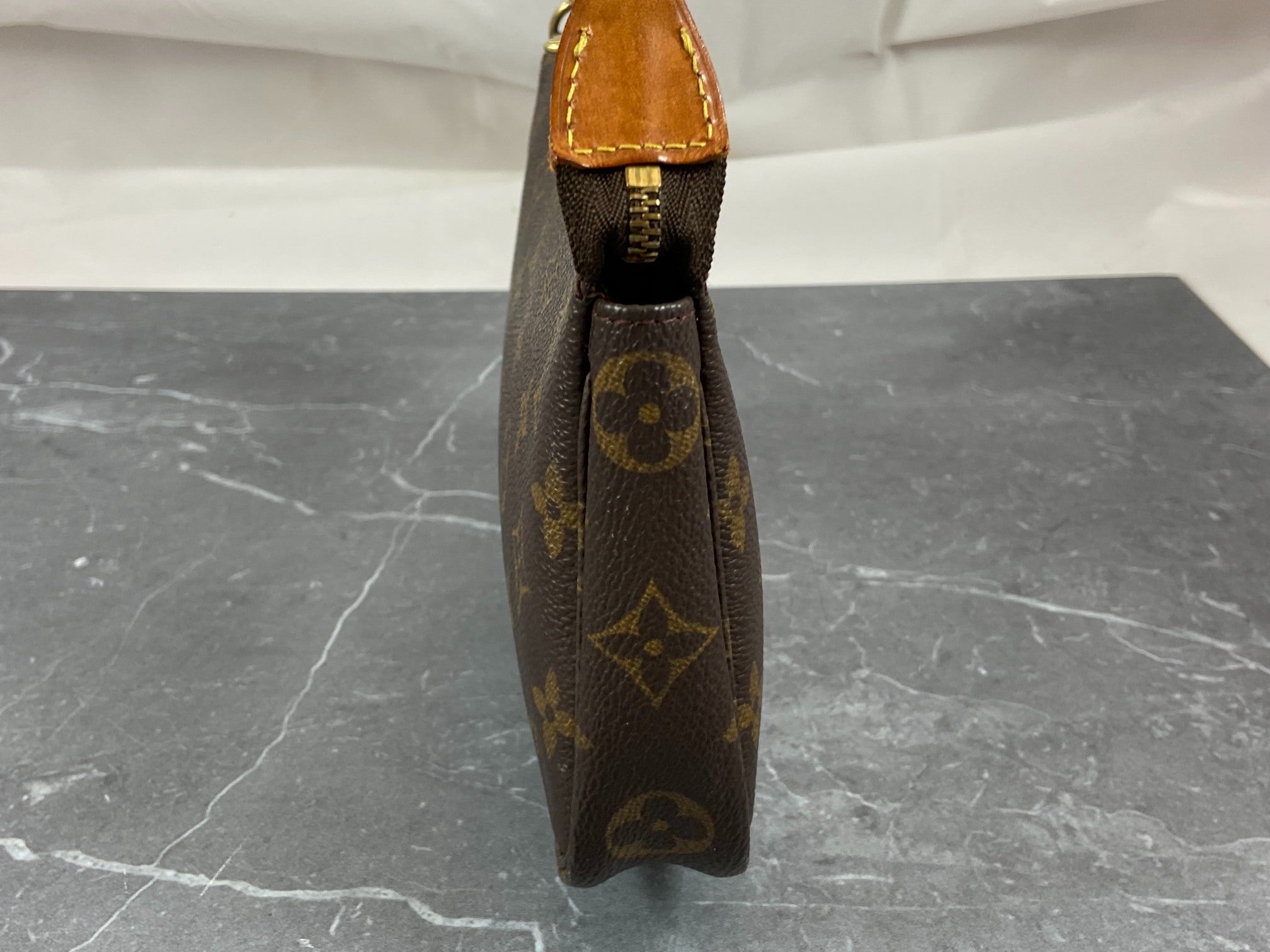 Louis Vuitton Pochette Accessoires Monogram Canvas