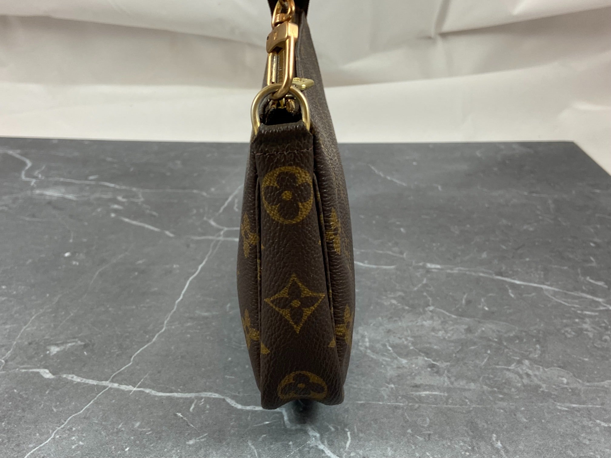 Louis Vuitton Pochette Accessoires Monogram Canvas