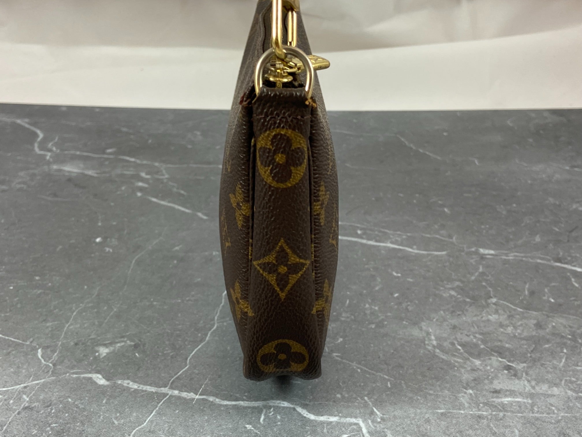 Louis Vuitton Pochette Accessoires Monogram Canvas