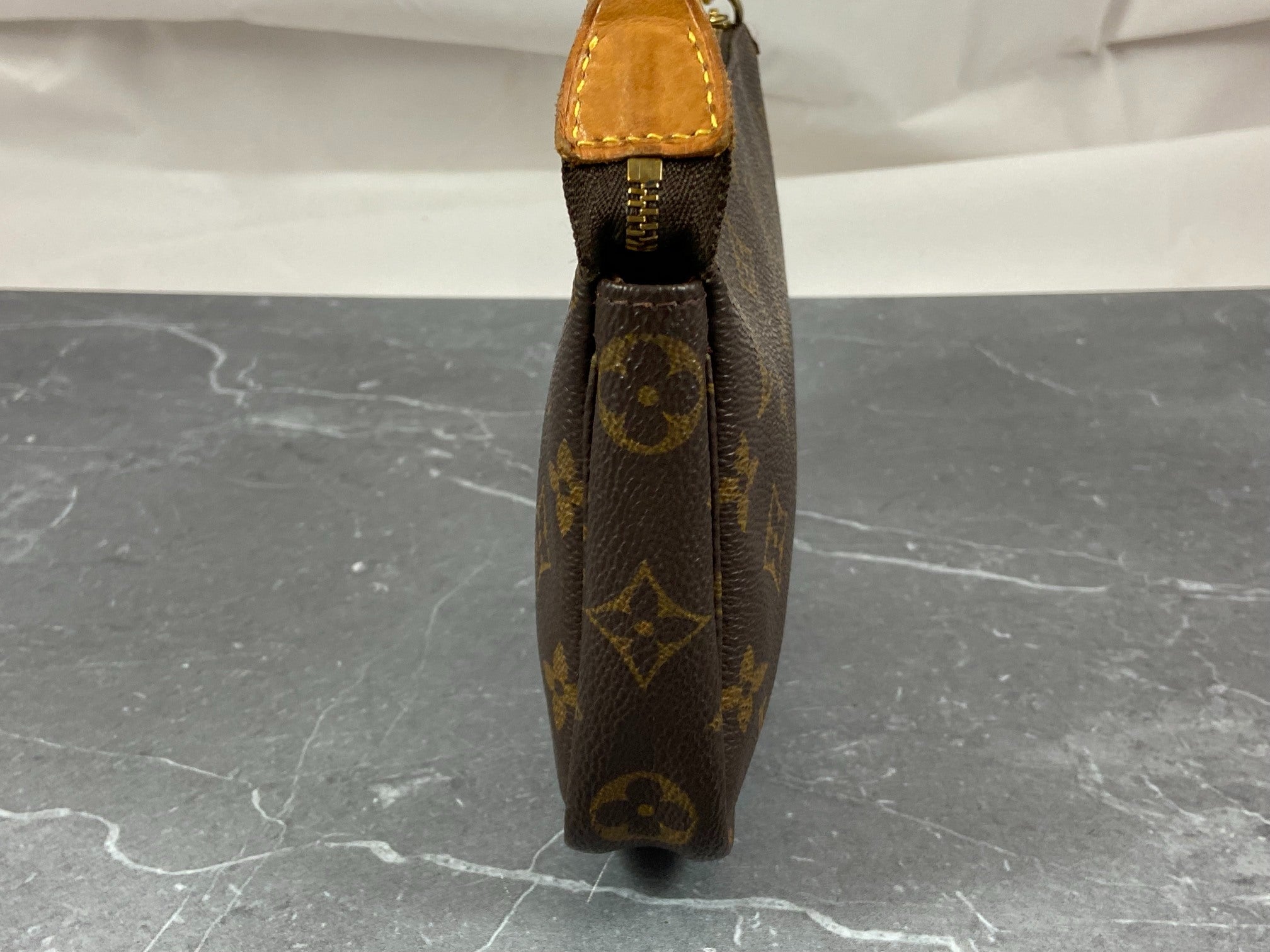 Louis Vuitton Pochette Accessoires Monogram Canvas