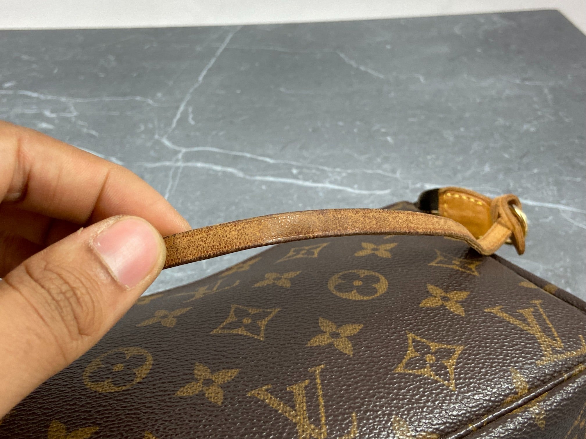 Louis Vuitton Pochette Accessoires Monogram Canvas