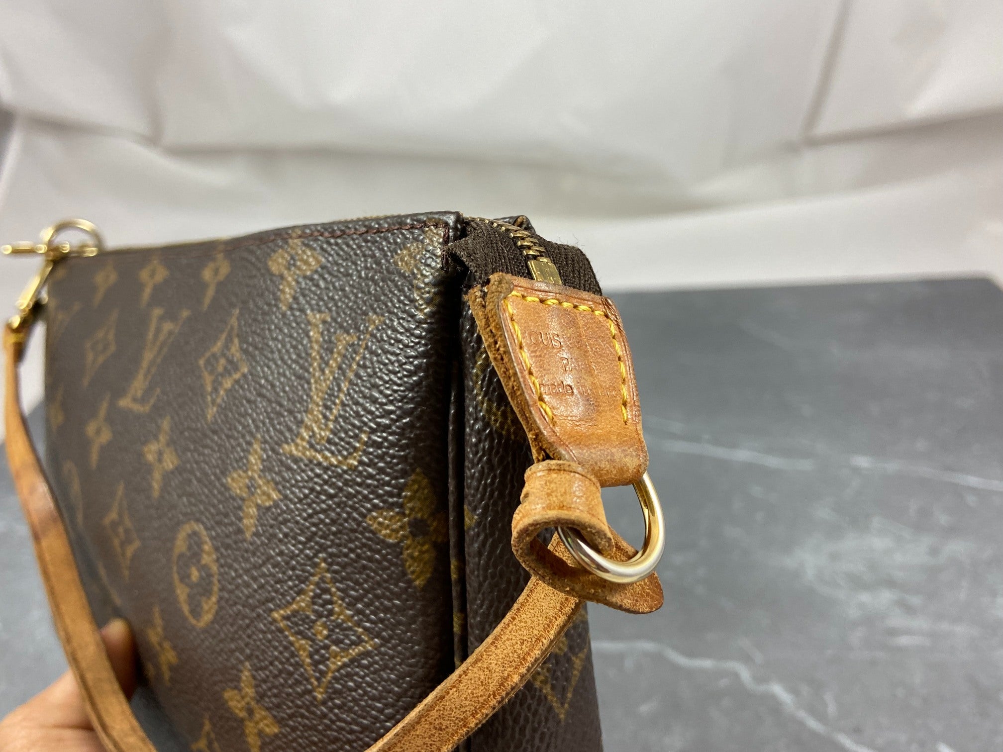 Louis Vuitton Pochette Accessoires Monogram Canvas