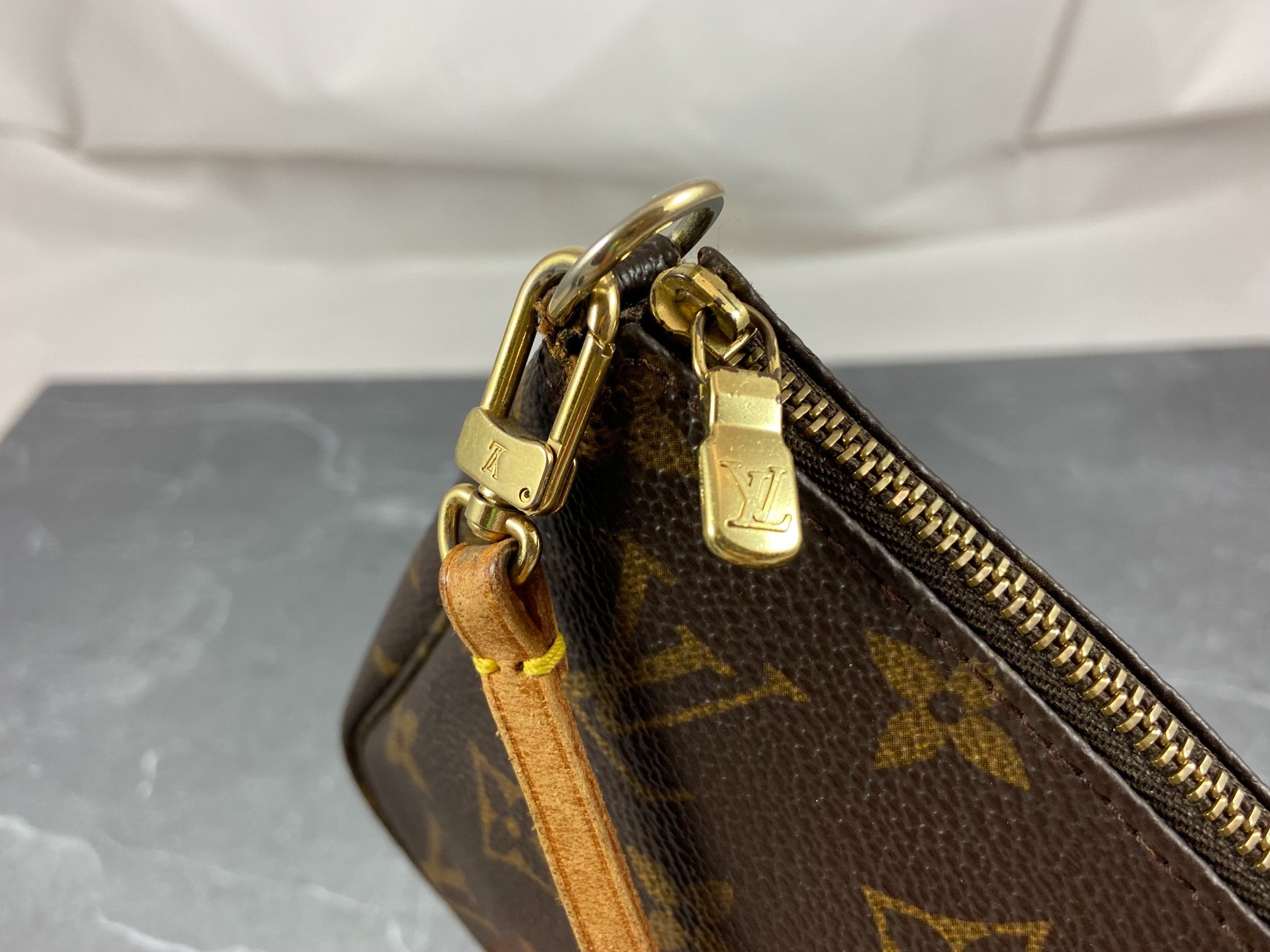 Louis Vuitton Pochette Accessoires Monogram Canvas