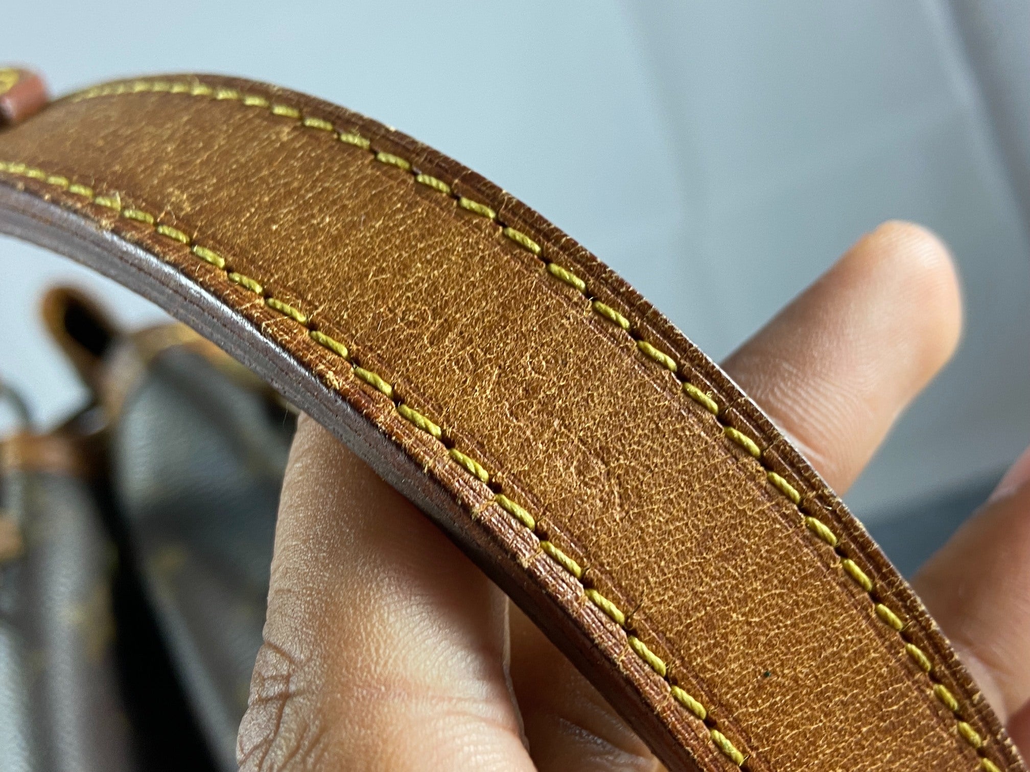 Louis Vuitton Sac Noé Grand Monogram Canvas