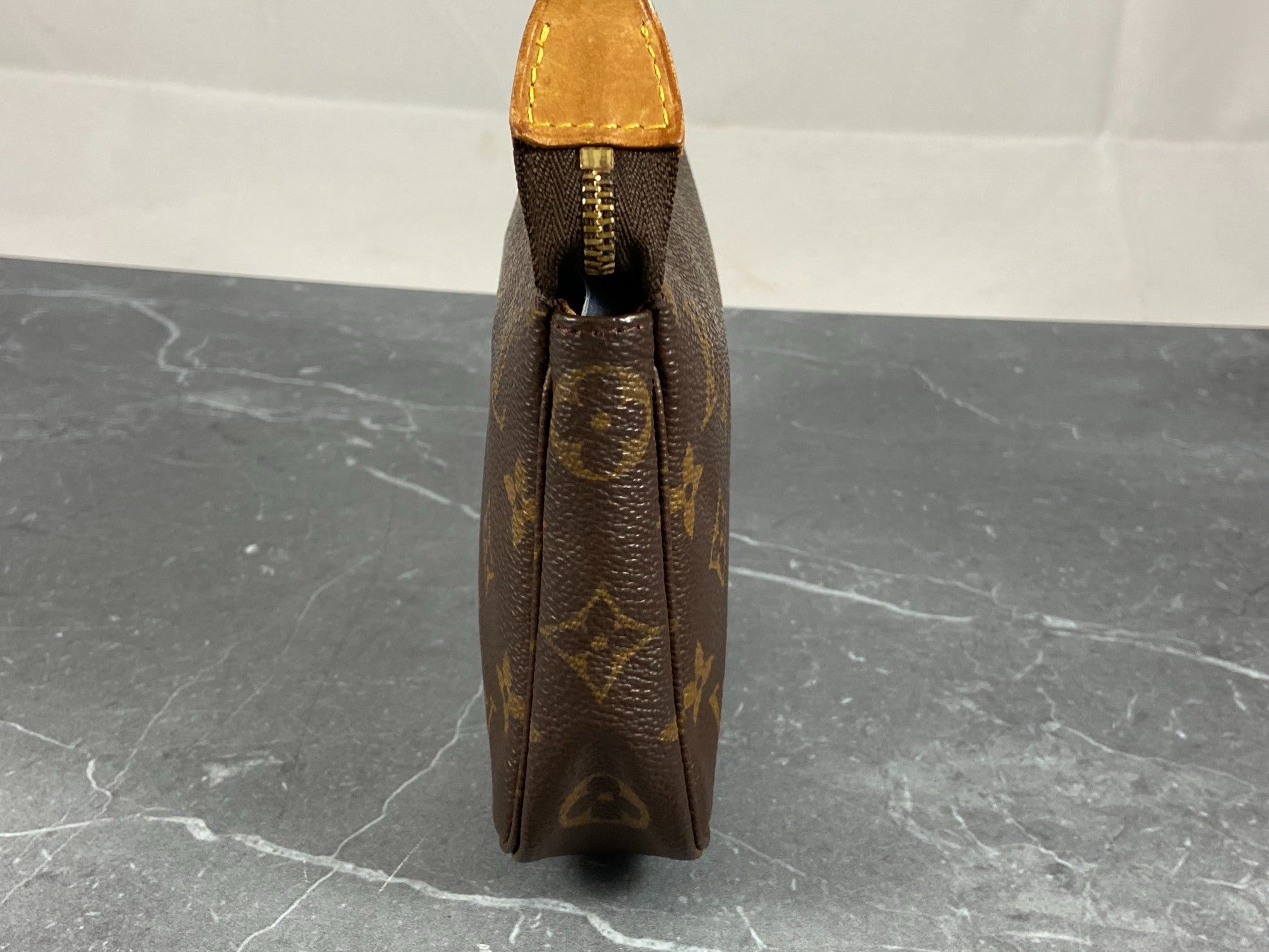 Louis Vuitton Pochette Accessoires Monogram Canvas