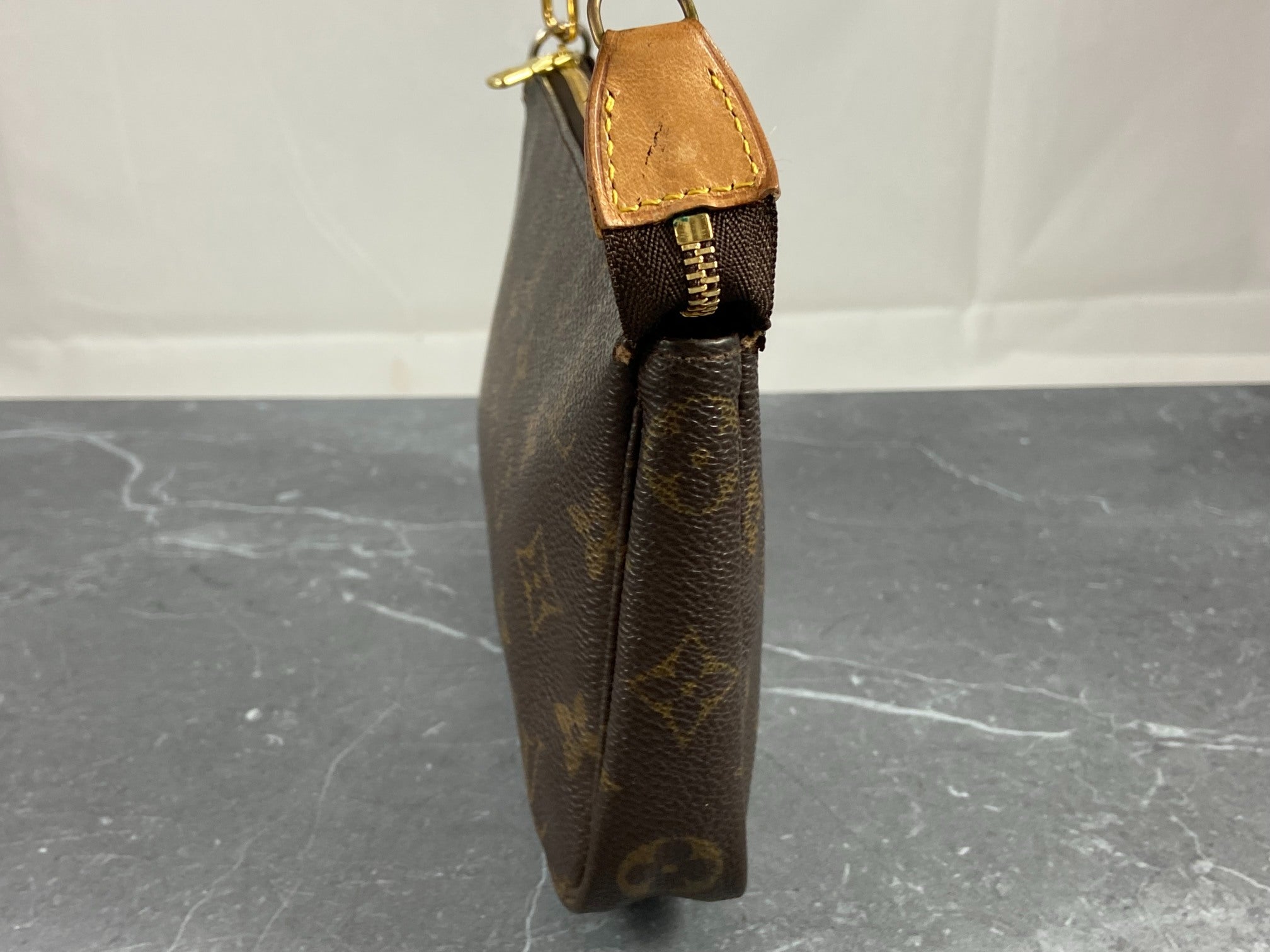 Louis Vuitton Pochette Accessoires Monogram Canvas