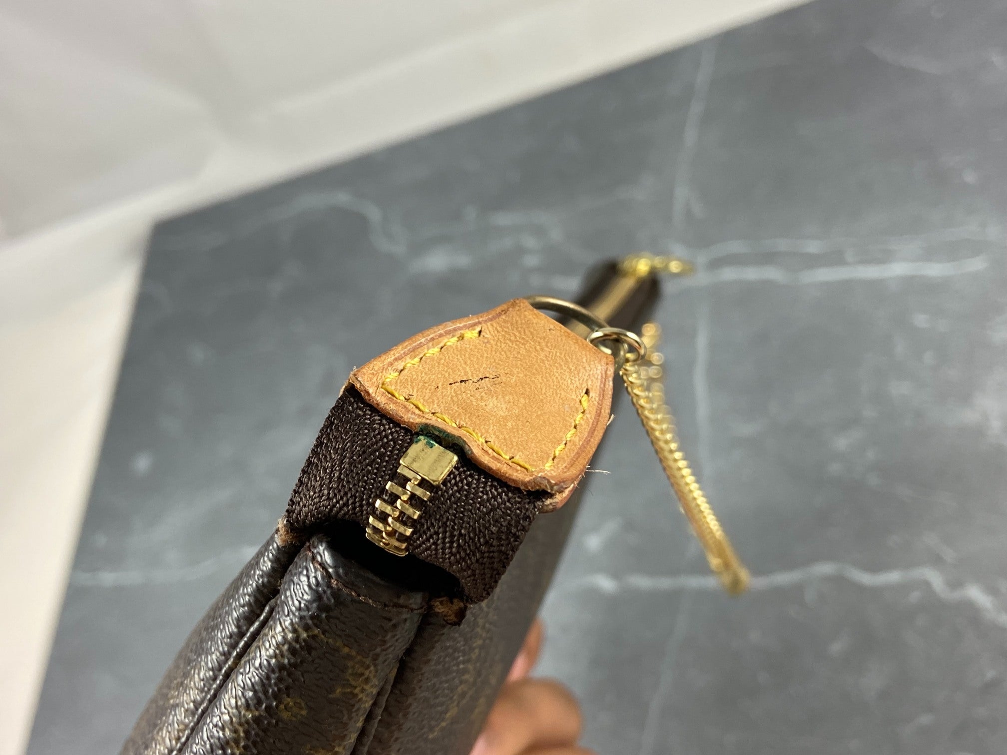 Louis Vuitton Pochette Accessoires Monogram Canvas