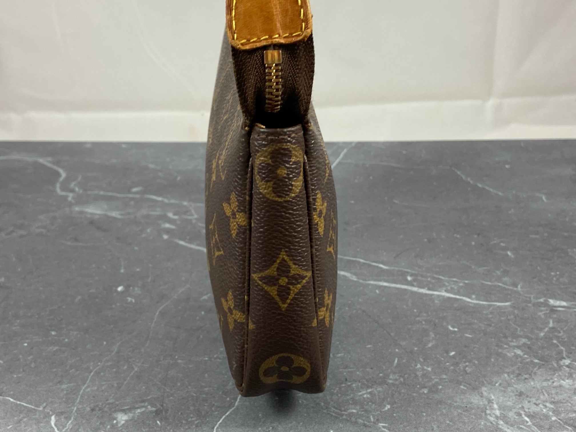 Louis Vuitton Pochette Accessoires Monogram Canvas