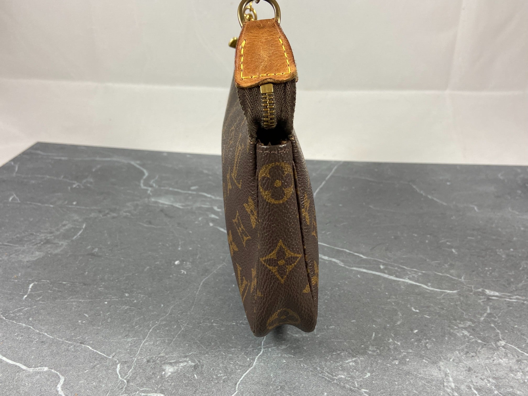 Louis Vuitton Pochette Accessoires Monogram Canvas