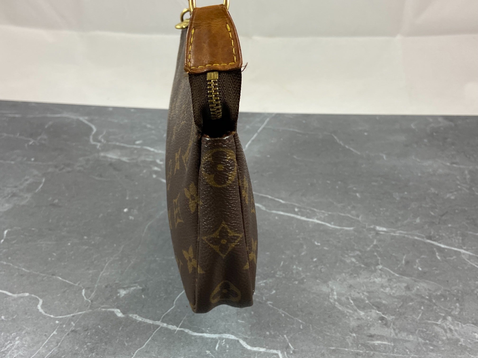 Louis Vuitton Pochette Accessoires Monogram Canvas