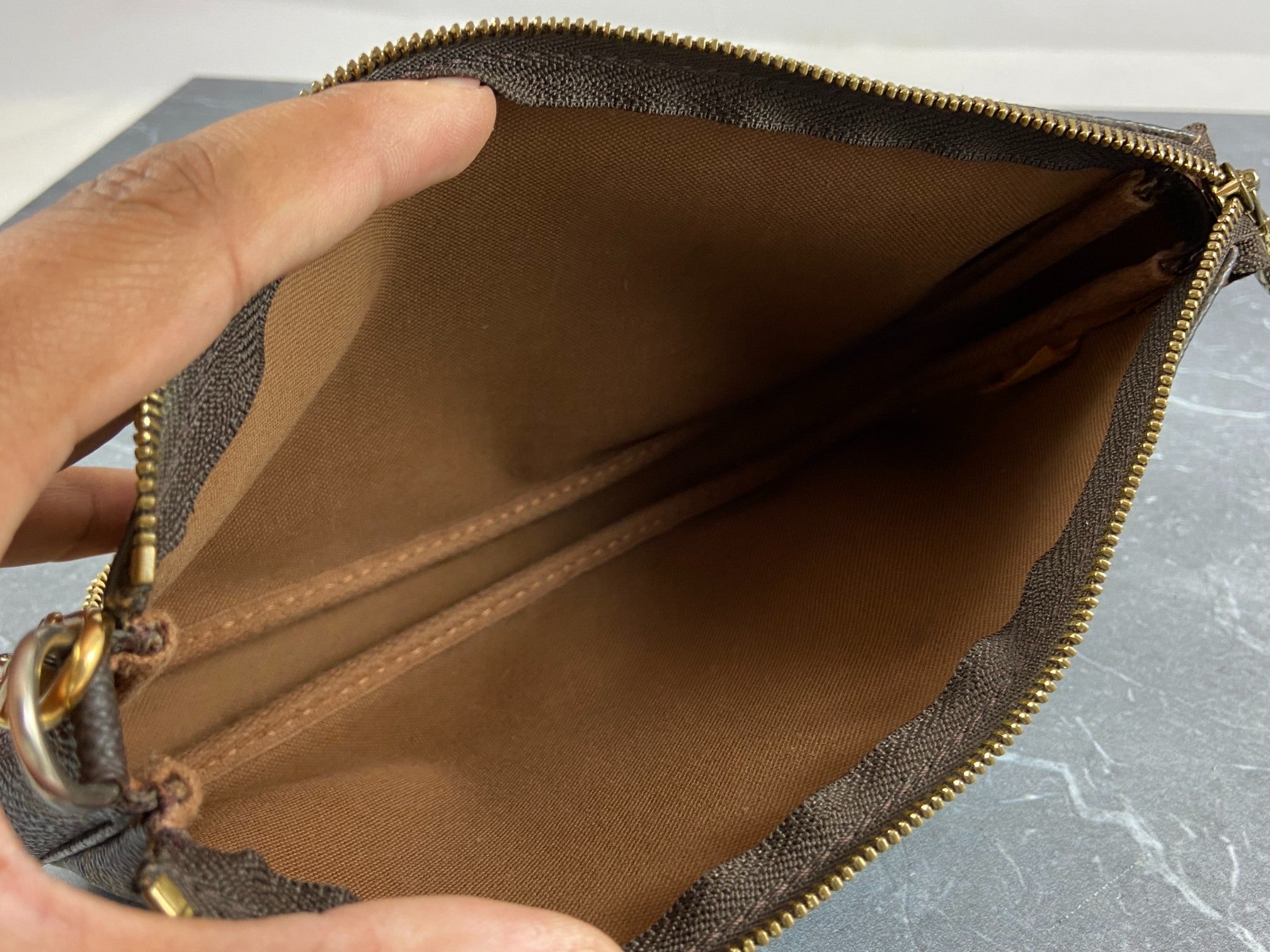 Louis Vuitton Pochette Accessoires Monogram Canvas