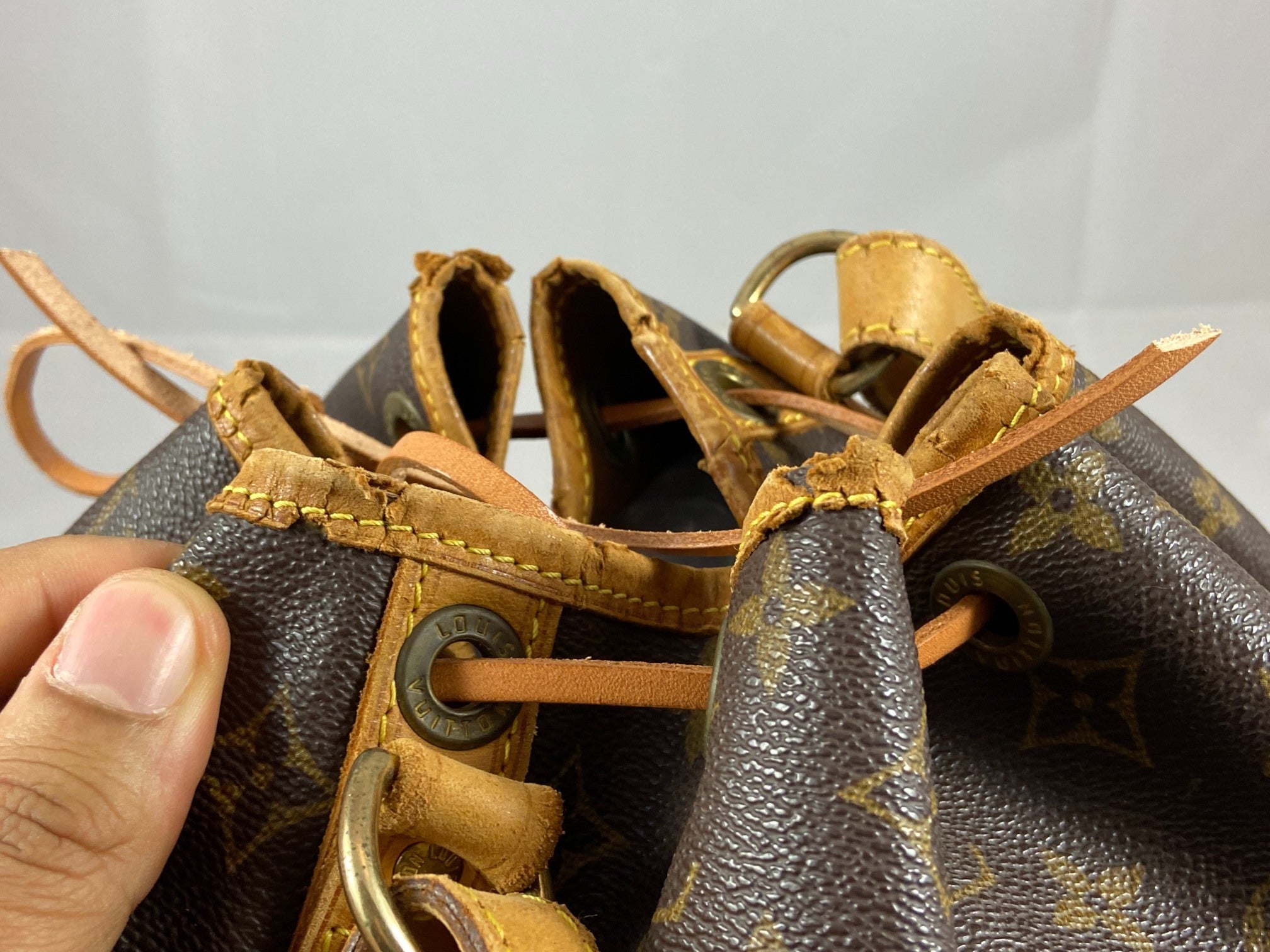 Louis Vuitton Sac Noé Petit Monogram Canvas