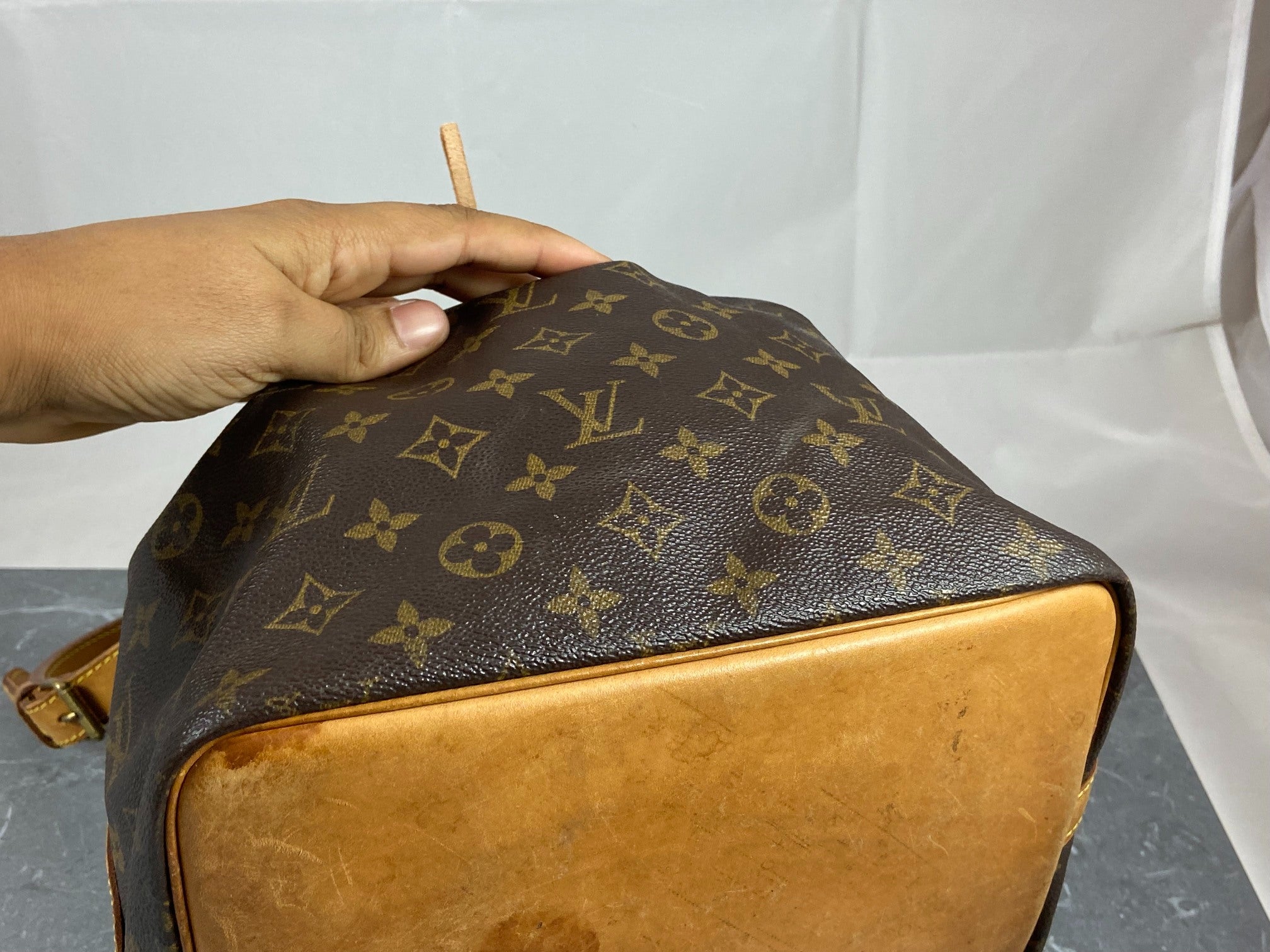 Louis Vuitton Sac Noé Petit Monogram Canvas