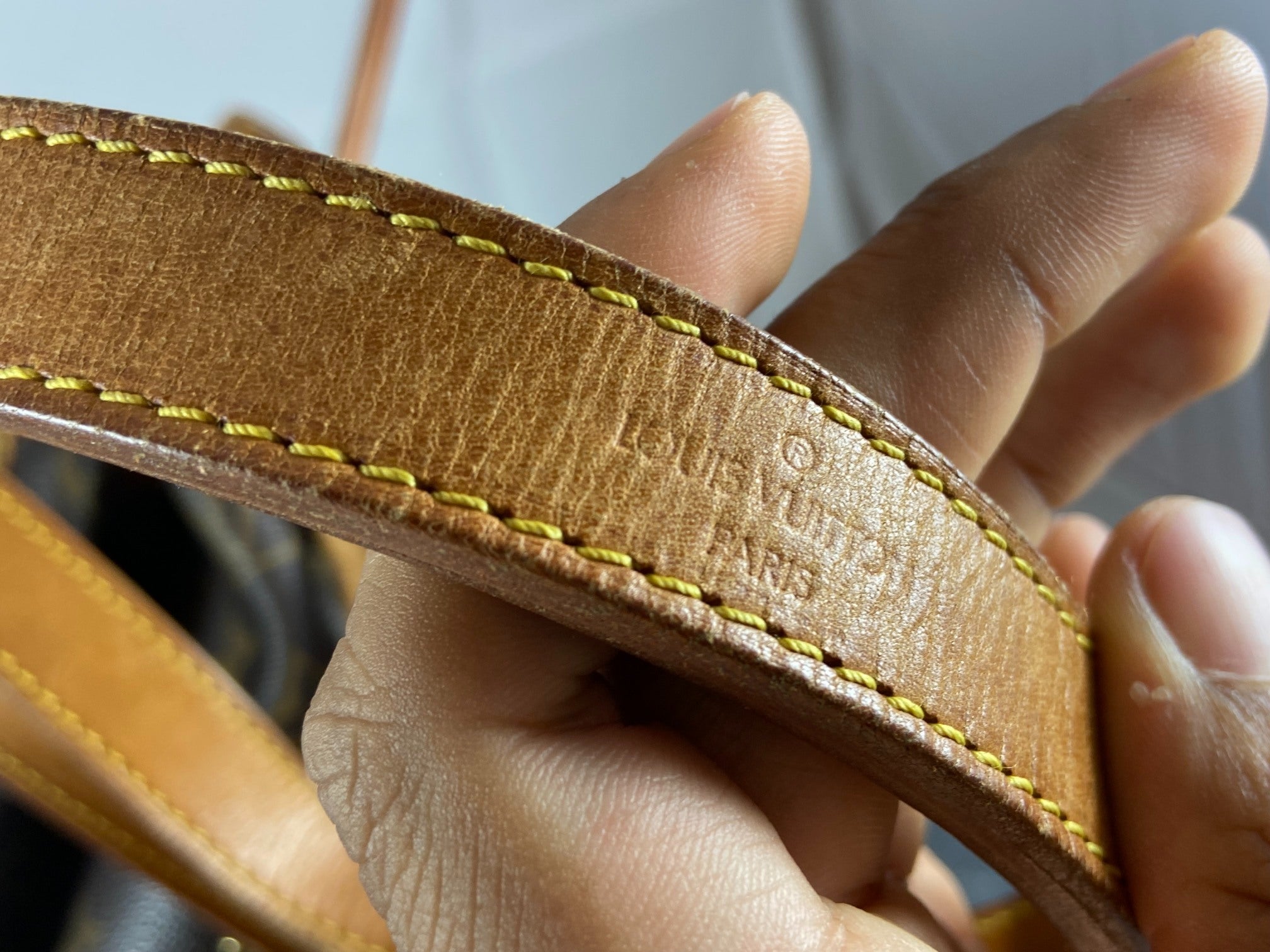 Louis Vuitton Sac Noé Grand Monogram Canvas