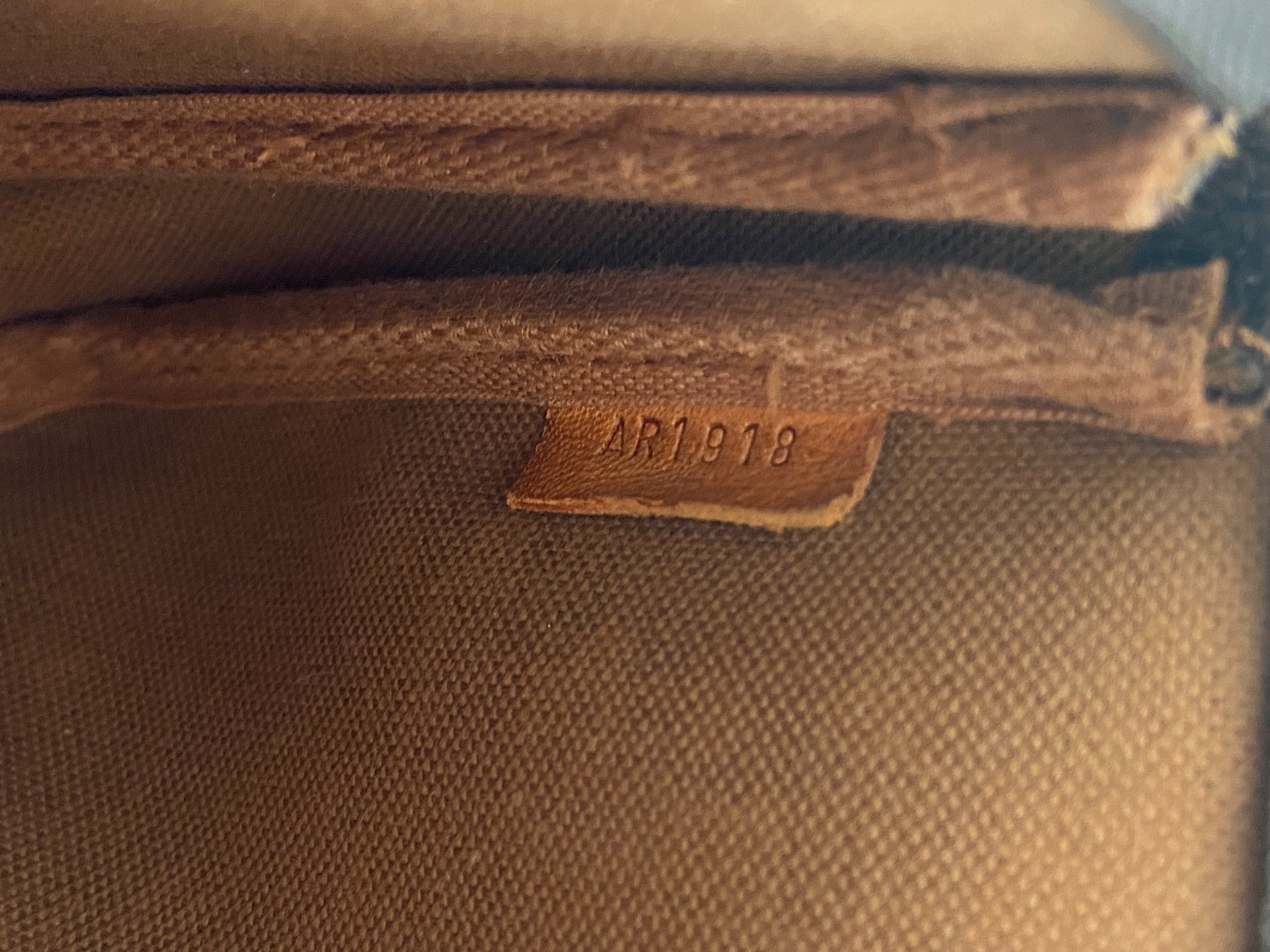 Louis Vuitton Pochette Accessoires Monogram Canvas