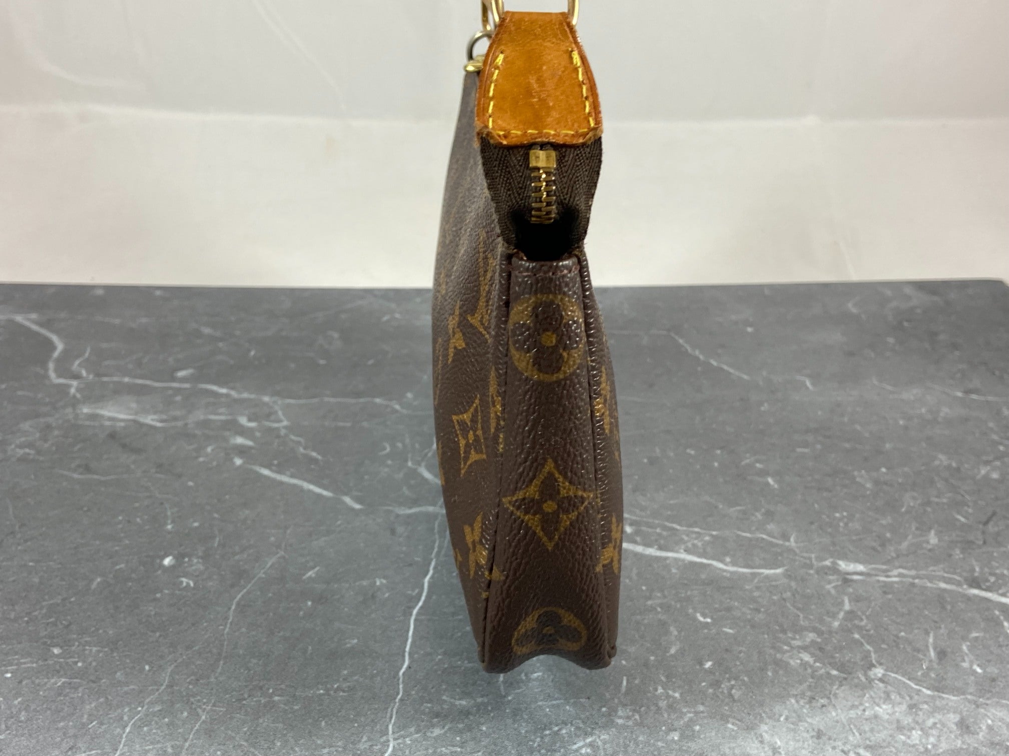 Louis Vuitton Pochette Accessoires Monogram Canvas