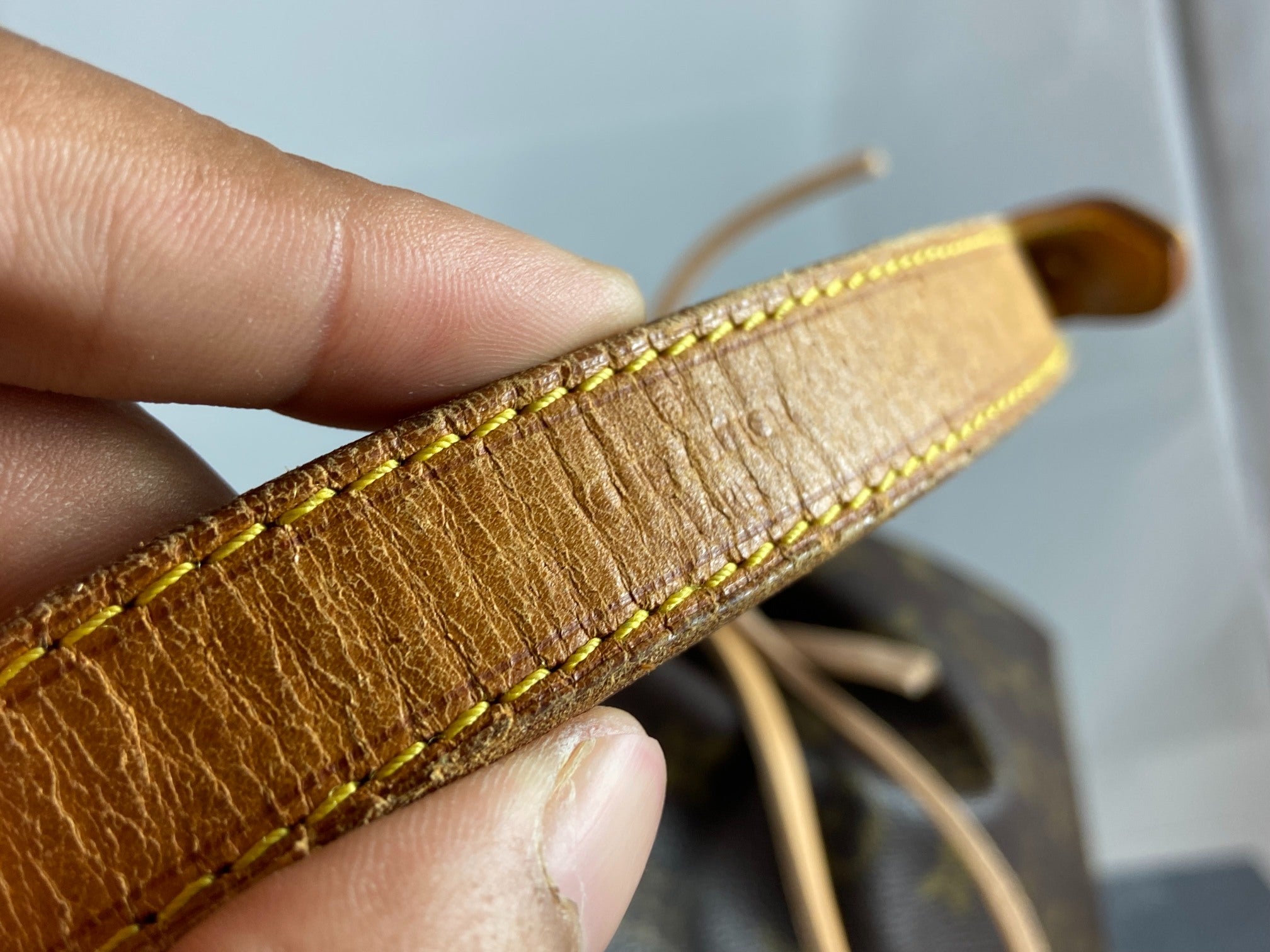 Louis Vuitton Sac Noé Grand Monogram Canvas