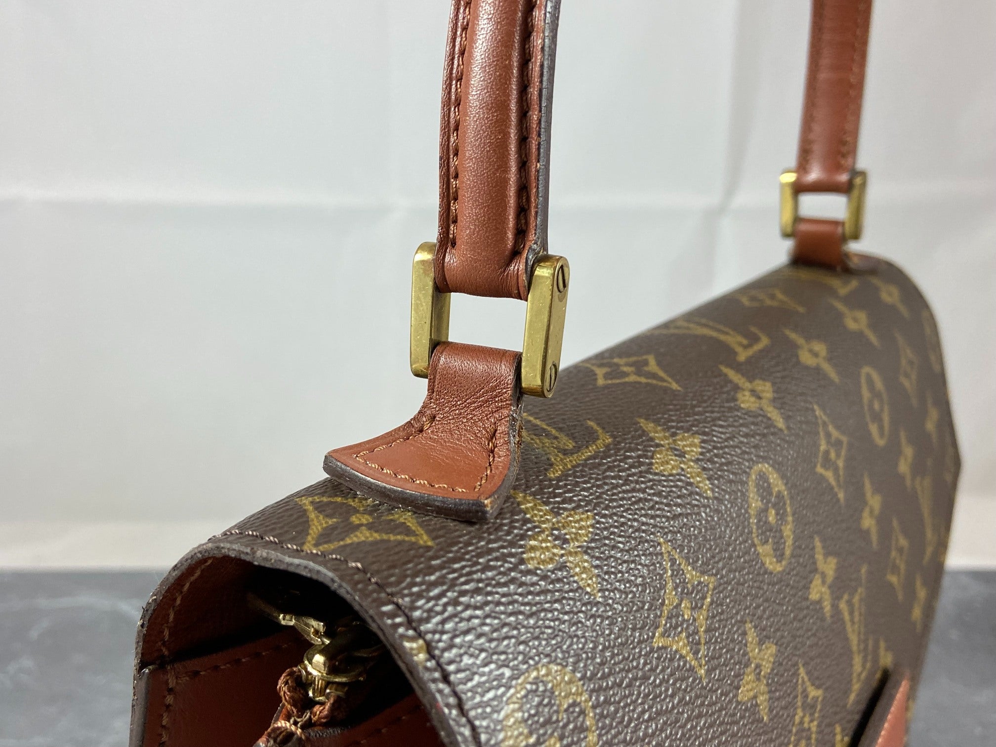 Louis Vuitton Monogram Canvas