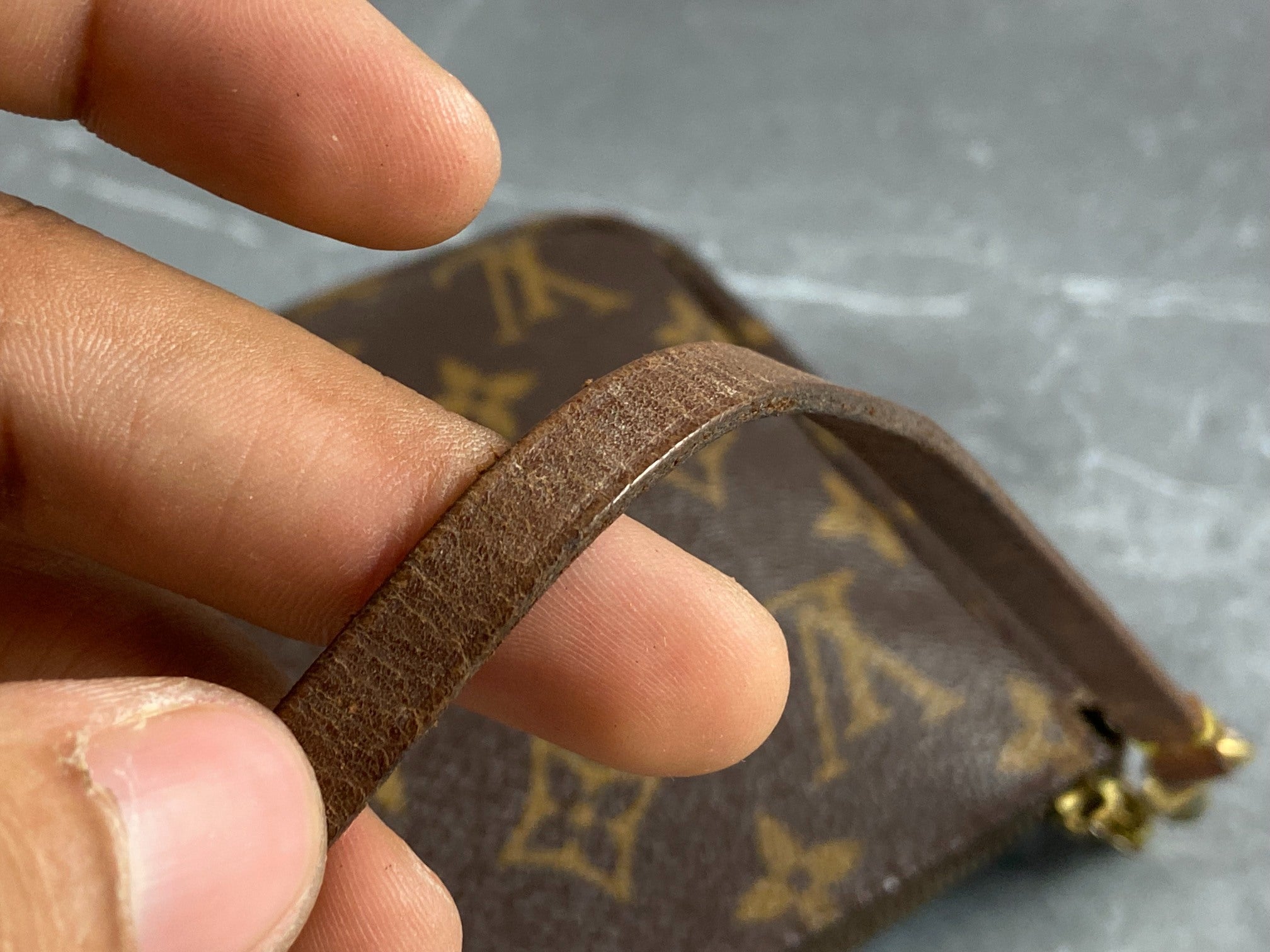 Louis Vuitton Pochette Accessoires Monogram Canvas