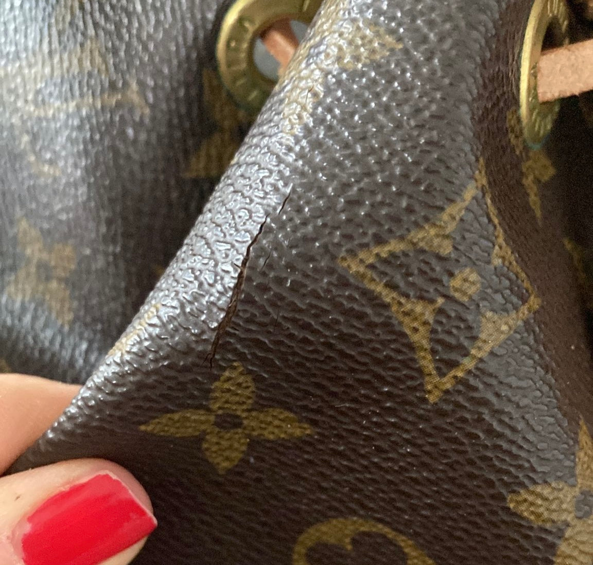 Louis Vuitton Sac Noé Grand Monogram Canvas