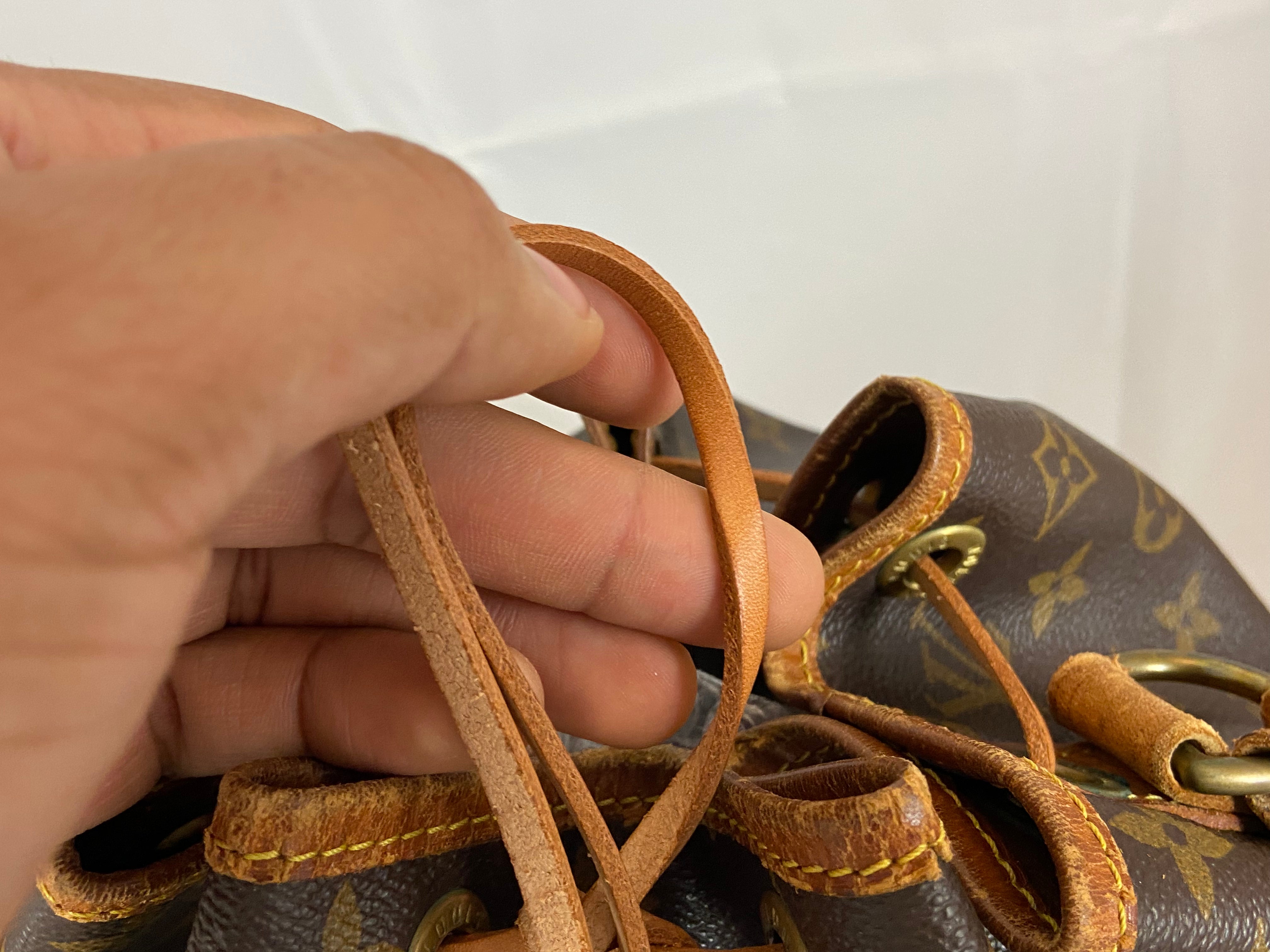 Louis Vuitton Sac Noé Petit Monogram Canvas